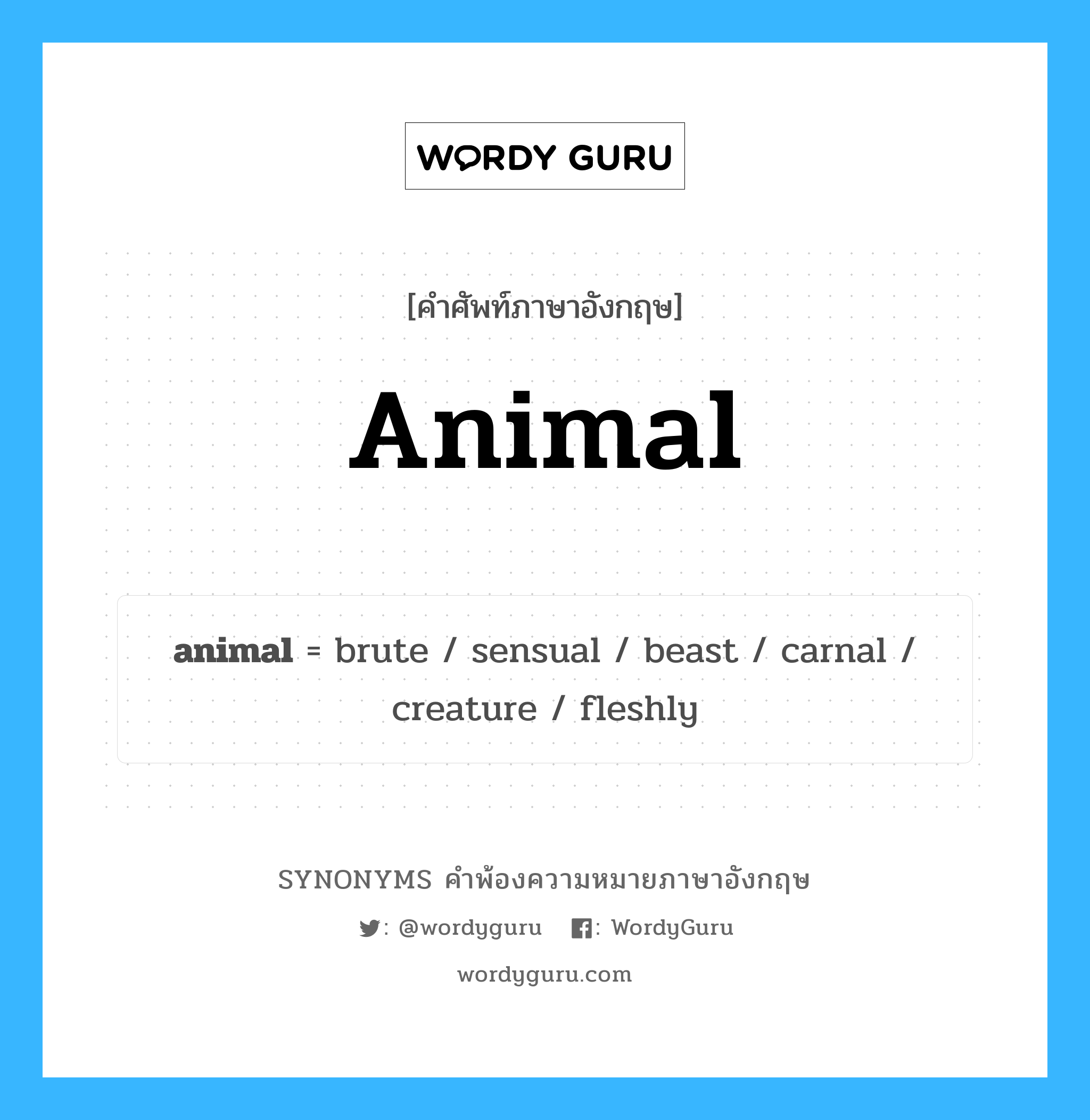 animal คำพ้องความหมายภาษาอังกฤษ พร้อมคำแปลและตัวอย่าง, คำศัพท์ภาษาอังกฤษ animal ความหมายคล้ายกันกับ animal กลุ่มคำ กลุ่มคำนาม แปลว่า สัตว์ หมวด animal, กลุ่มคำคุณศัพท์, กลุ่มคำนาม