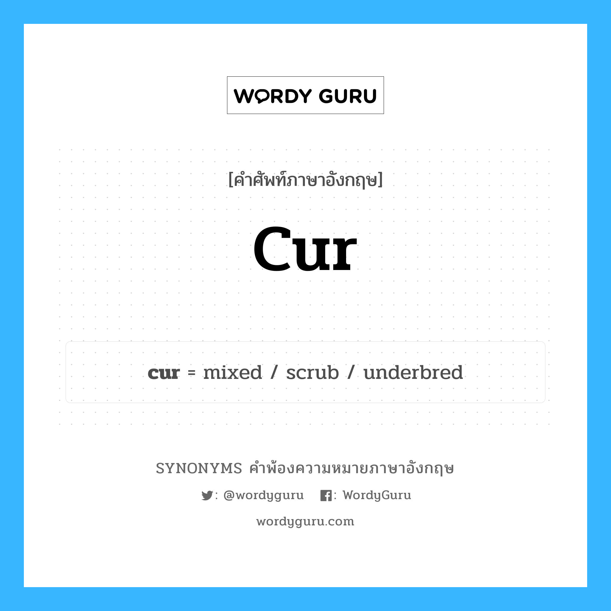 cur คำพ้องความหมายภาษาอังกฤษ พร้อมคำแปลและตัวอย่าง, คำศัพท์ภาษาอังกฤษ cur ความหมายคล้ายกันกับ cur กลุ่มคำ กลุ่มคำนาม แปลว่า สุนัขพันธุ์ทาง, สุนัขพันธุ์ผสม หมวด cur, กลุ่มคำนาม