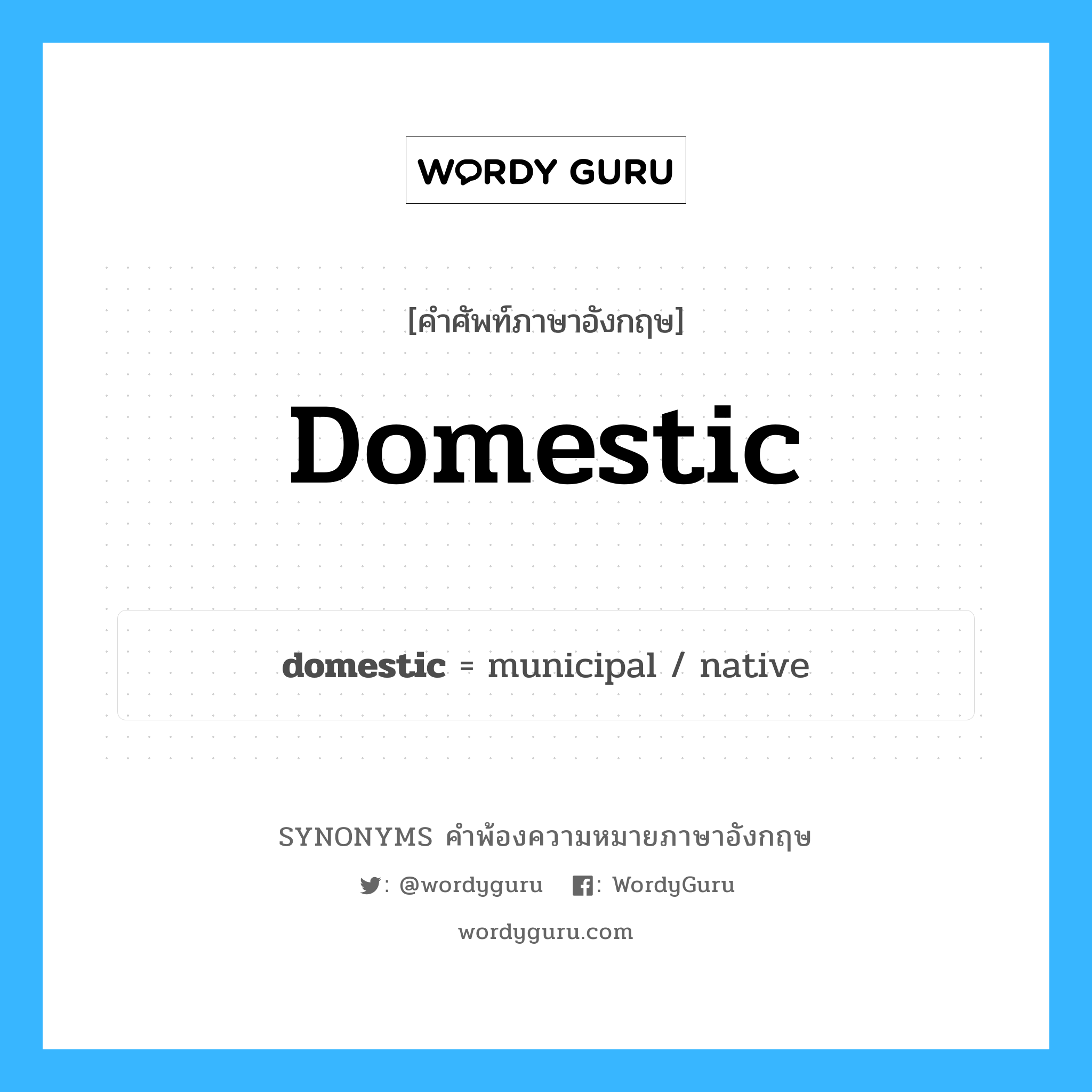 domestic คำพ้องความหมายภาษาอังกฤษ พร้อมคำแปลและตัวอย่าง, คำศัพท์ภาษาอังกฤษ domestic ความหมายคล้ายกันกับ domestic กลุ่มคำ กลุ่มคำคุณศัพท์ แปลว่า ในประเทศ หมวด domestic, กลุ่มคำคุณศัพท์, กลุ่มคำนาม