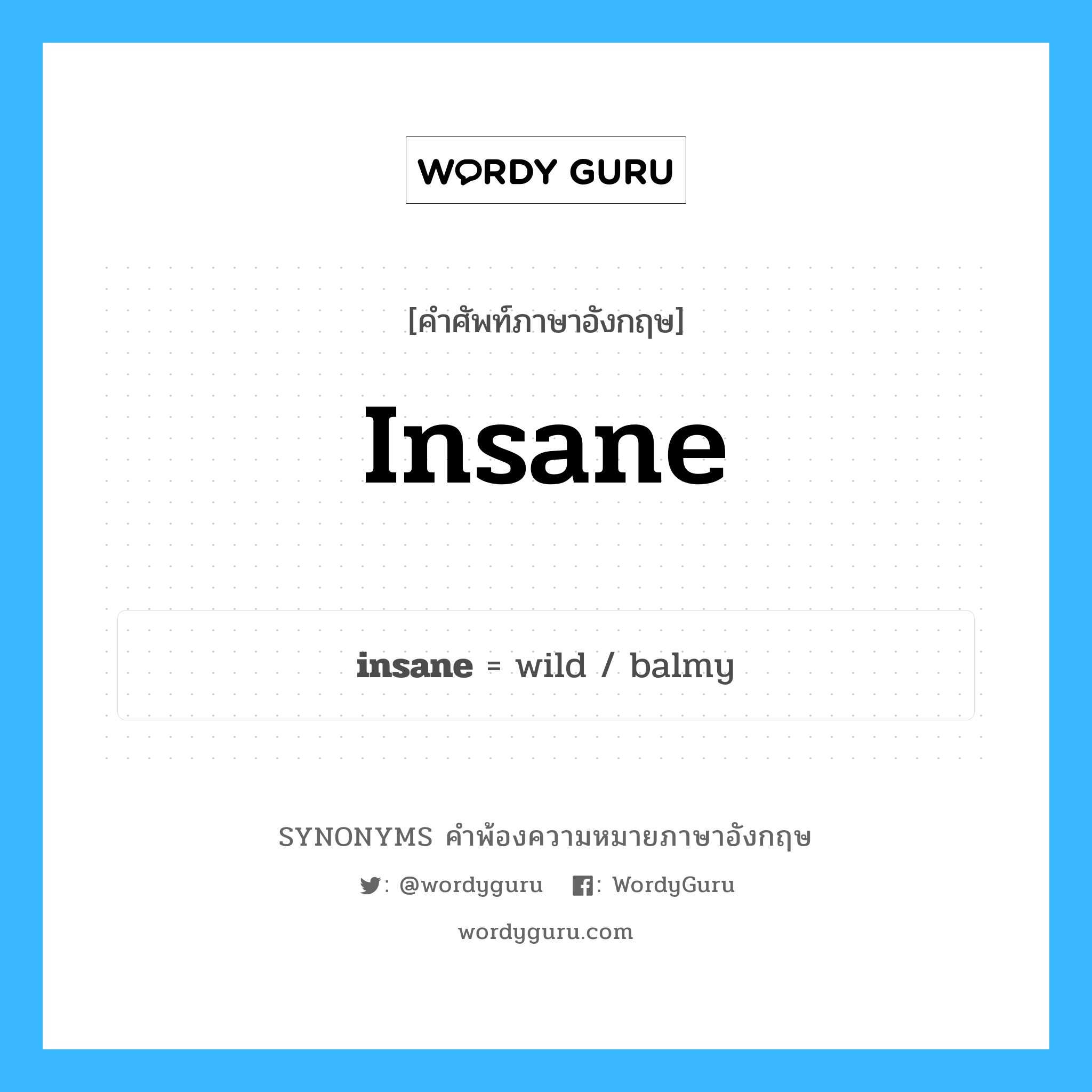 insane คำพ้องความหมายภาษาอังกฤษ พร้อมคำแปลและตัวอย่าง, คำศัพท์ภาษาอังกฤษ insane ความหมายคล้ายกันกับ insane กลุ่มคำ กลุ่มคำคุณศัพท์ แปลว่า บ้าคลั่ง หมวด insane, กลุ่มคำคุณศัพท์