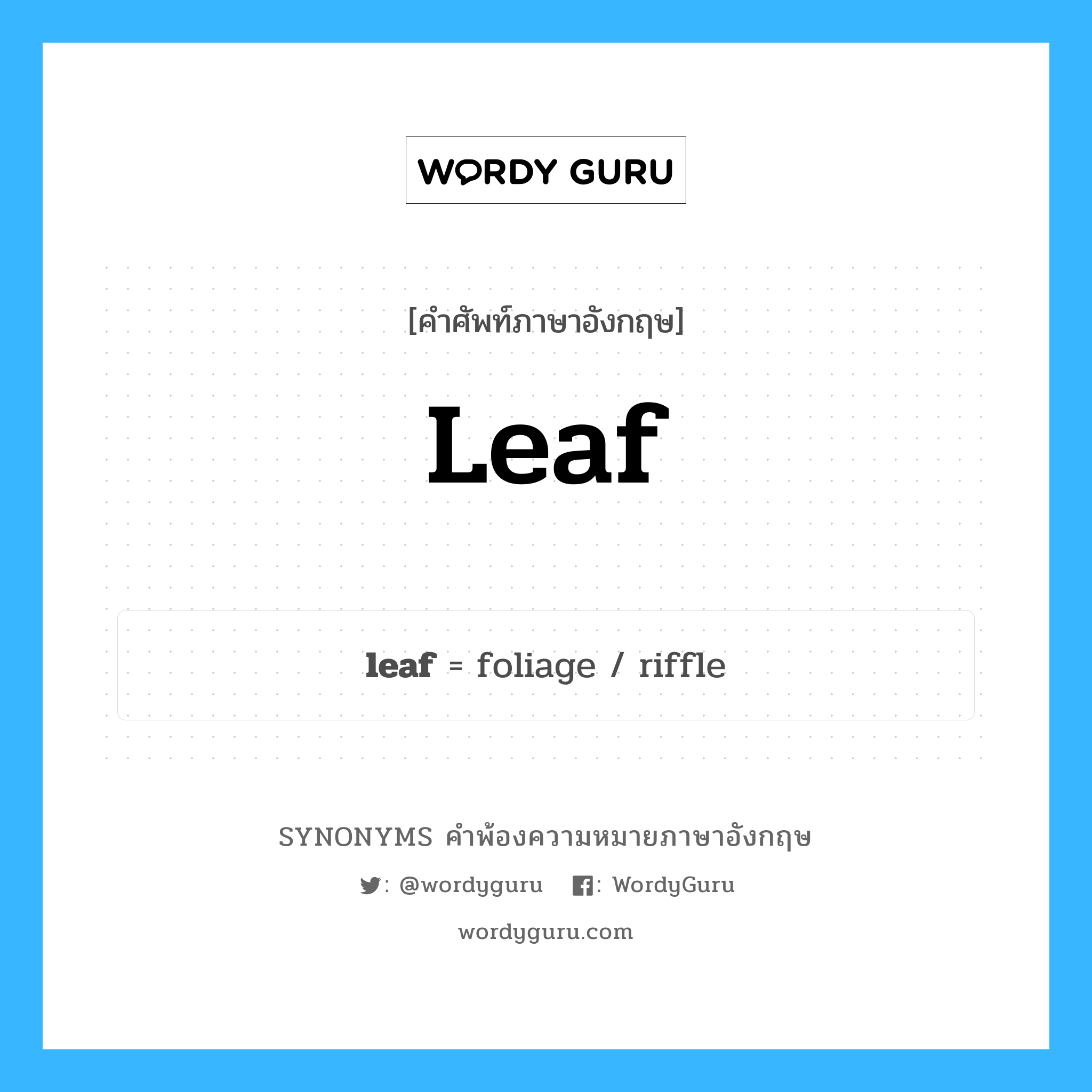 leaf คำพ้องความหมายภาษาอังกฤษ พร้อมคำแปลและตัวอย่าง, คำศัพท์ภาษาอังกฤษ leaf ความหมายคล้ายกันกับ leaf กลุ่มคำ กลุ่มคำนาม แปลว่า ใบไม้ หมวด leaf, กลุ่มคำกริยา, กลุ่มคำนาม