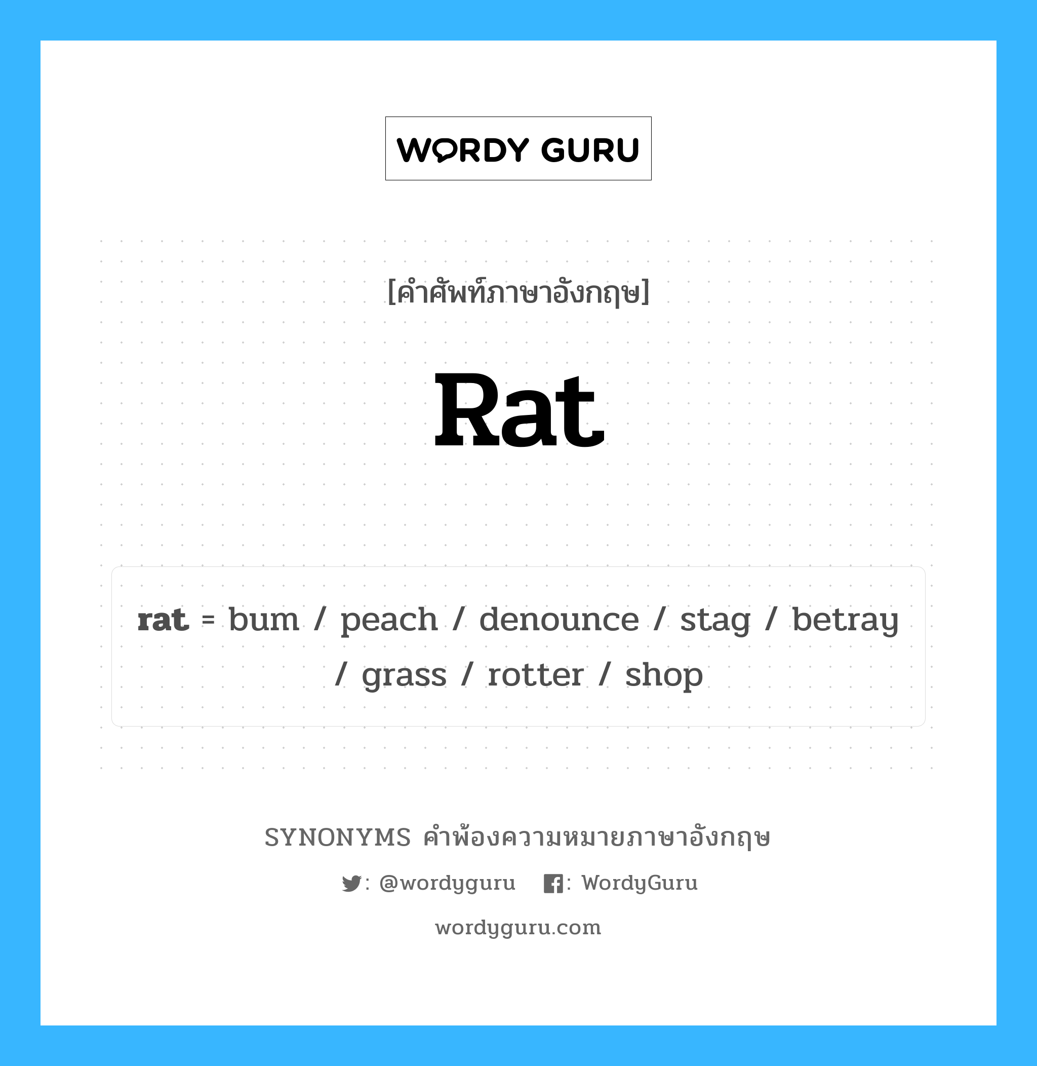 rat คำพ้องความหมายภาษาอังกฤษ พร้อมคำแปลและตัวอย่าง, คำศัพท์ภาษาอังกฤษ rat ความหมายคล้ายกันกับ rat กลุ่มคำ กลุ่มคำนาม แปลว่า หนู หมวด rat, กลุ่มคำกริยา, กลุ่มคำนาม