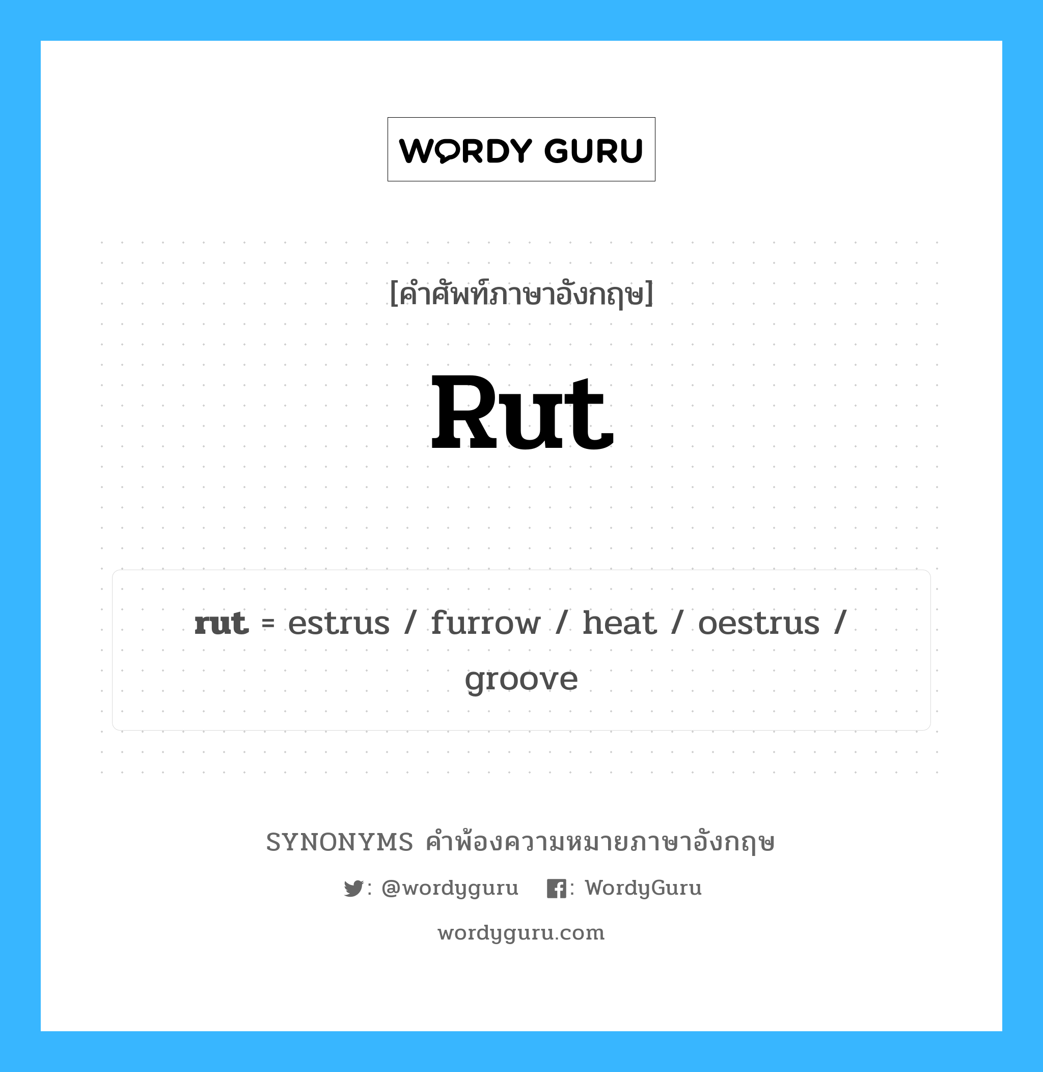 rut คำพ้องความหมายภาษาอังกฤษ พร้อมคำแปลและตัวอย่าง, คำศัพท์ภาษาอังกฤษ rut ความหมายคล้ายกันกับ rut กลุ่มคำ กลุ่มคำนาม แปลว่า ติดสัด หมวด rut, กลุ่มคำกริยา, กลุ่มคำนาม
