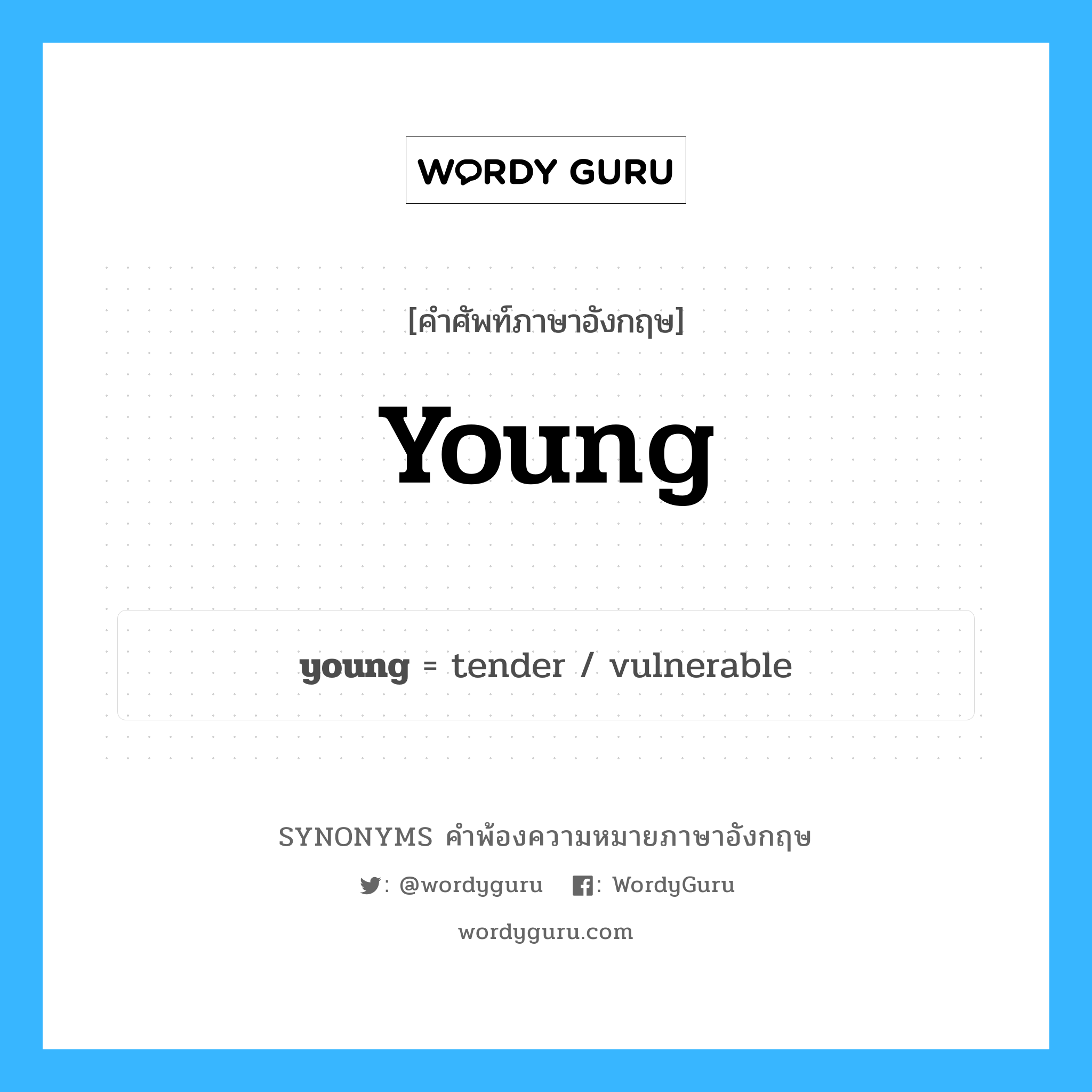 young คำพ้องความหมายภาษาอังกฤษ พร้อมคำแปลและตัวอย่าง, คำศัพท์ภาษาอังกฤษ young ความหมายคล้ายกันกับ young กลุ่มคำ กลุ่มคำคุณศัพท์ แปลว่า อายุน้อย หมวด young, กลุ่มคำกริยา, กลุ่มคำคุณศัพท์, กลุ่มคำนาม
