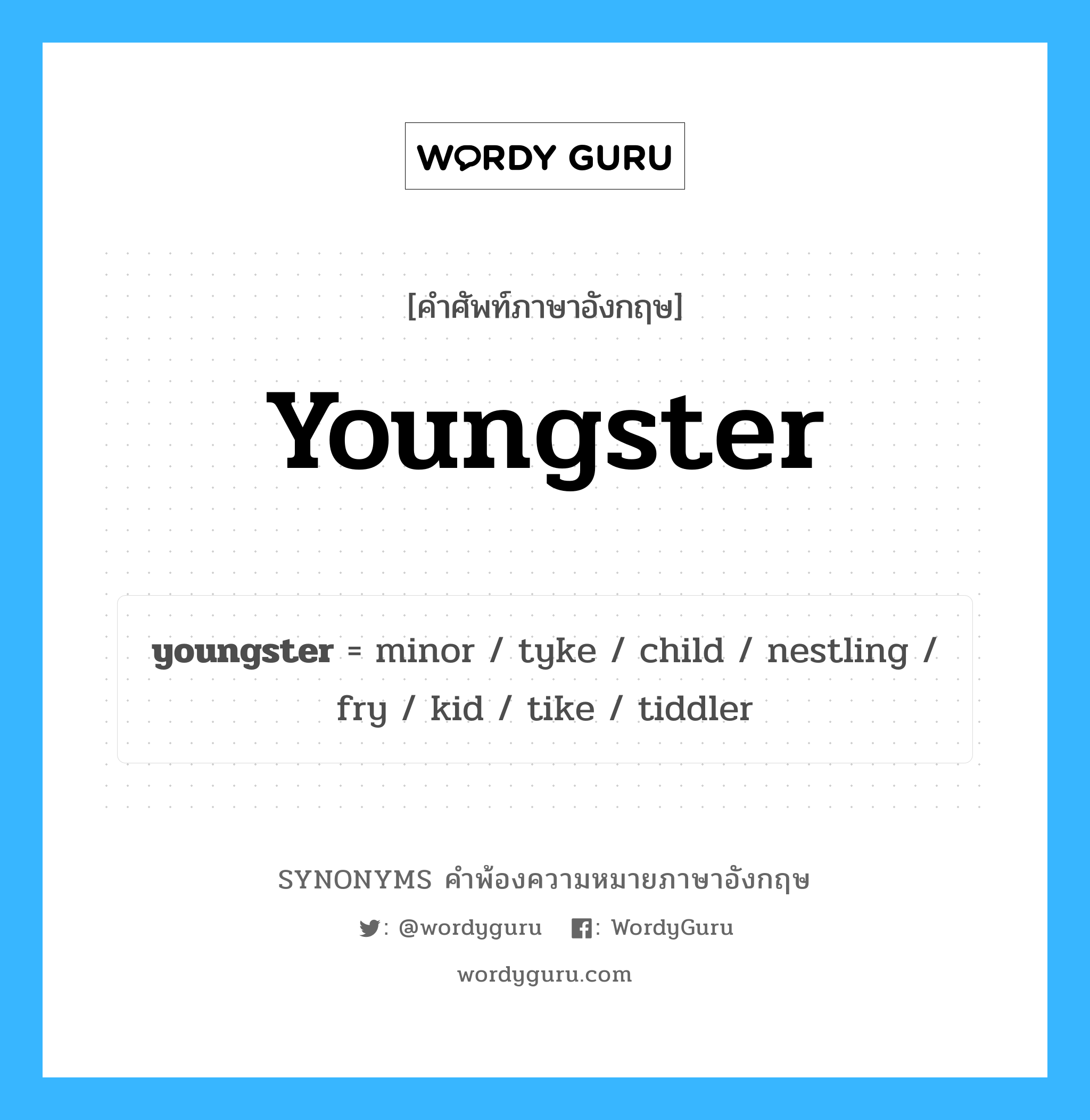 youngster คำพ้องความหมายภาษาอังกฤษ พร้อมคำแปลและตัวอย่าง, คำศัพท์ภาษาอังกฤษ youngster ความหมายคล้ายกันกับ youngster กลุ่มคำ กลุ่มคำนาม แปลว่า ลูกม้า หมวด youngster, กลุ่มคำนาม