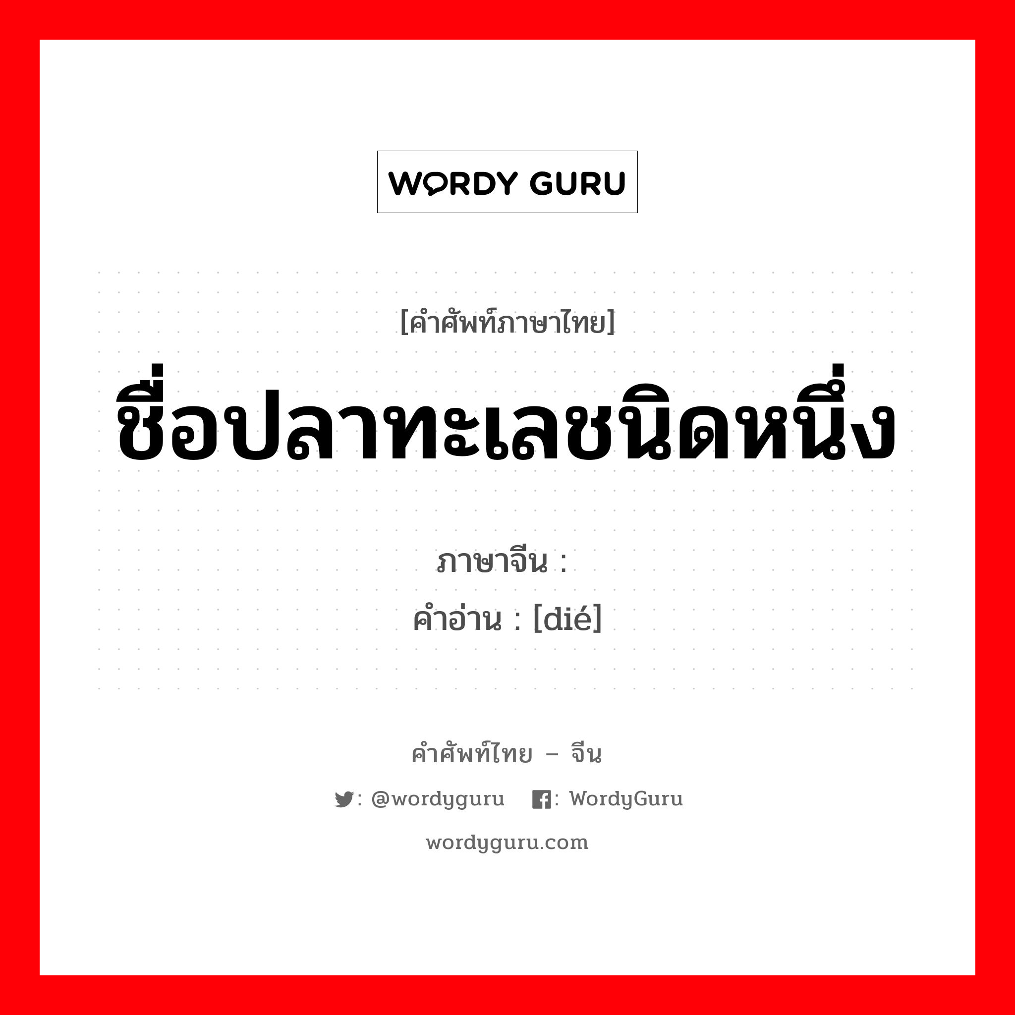 ชื่อปลาทะเลชนิดหนึ่ง ภาษาจีนคืออะไร, คำศัพท์ภาษาไทย - จีน ชื่อปลาทะเลชนิดหนึ่ง ภาษาจีน 鲽 คำอ่าน [dié]