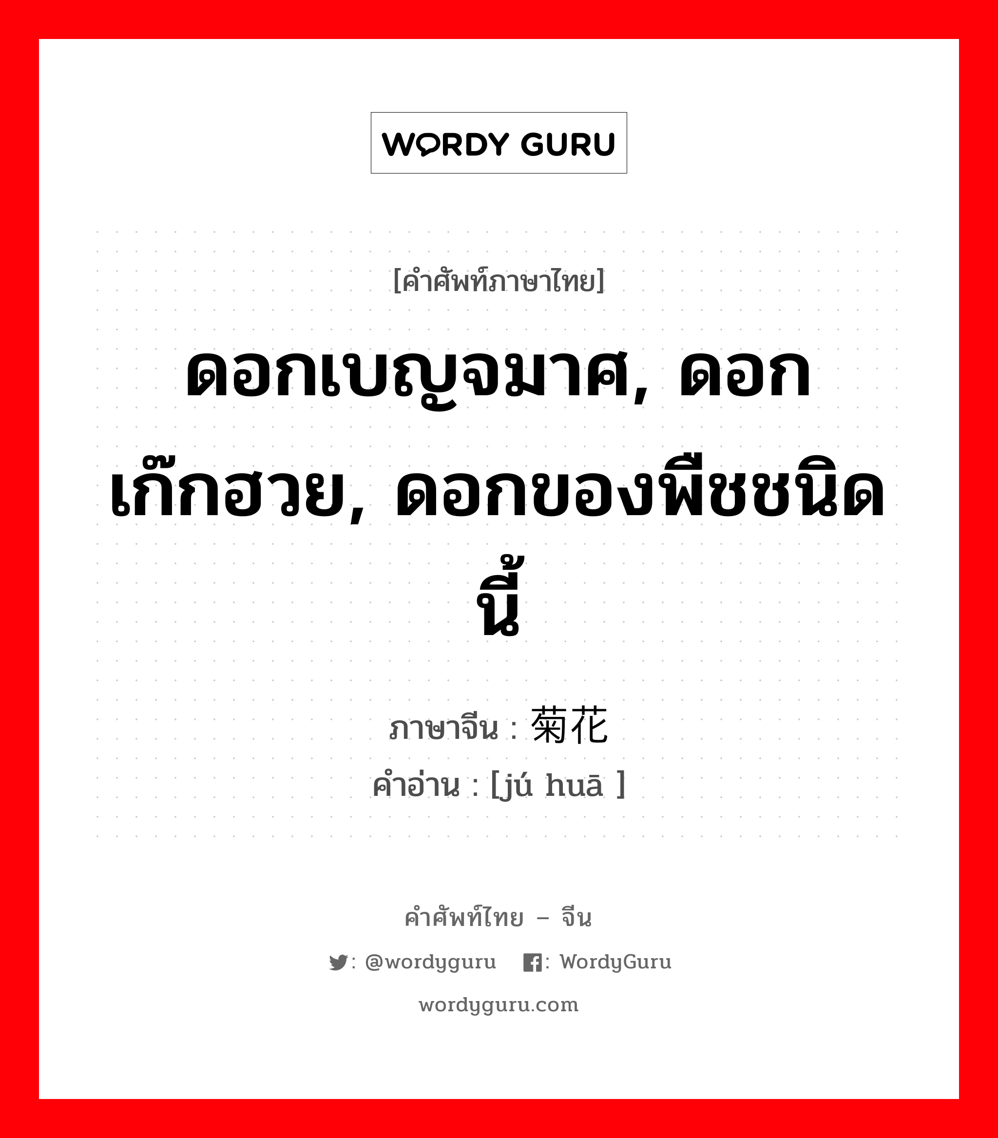菊花 ภาษาไทย?, คำศัพท์ภาษาไทย - จีน 菊花 ภาษาจีน ดอกเบญจมาศ, ดอกเก๊กฮวย, ดอกของพืชชนิดนี้ คำอ่าน [jú huā ]