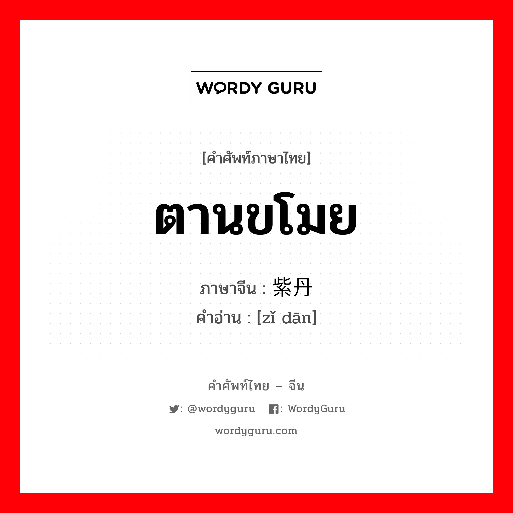 ตานขโมย ภาษาจีนคืออะไร, คำศัพท์ภาษาไทย - จีน ตานขโมย ภาษาจีน 紫丹 คำอ่าน [zǐ dān]
