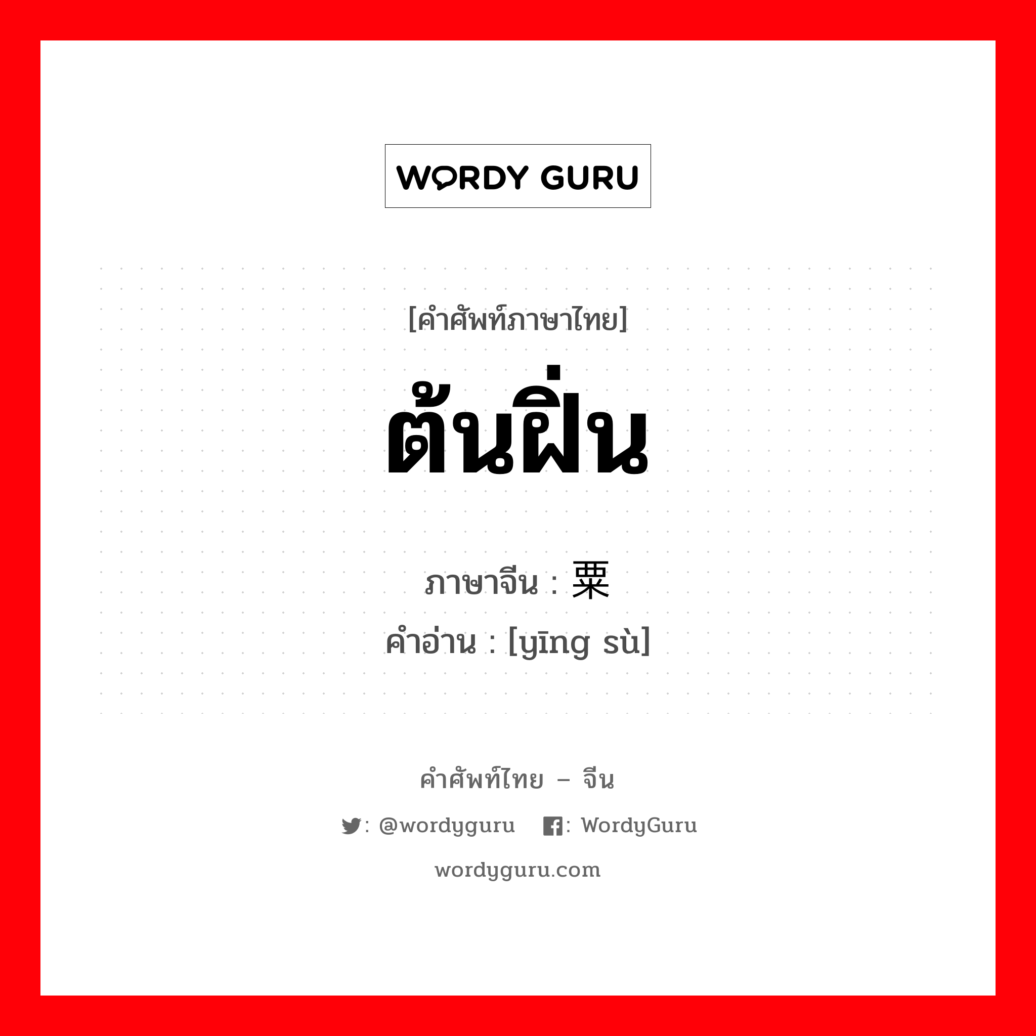 罂粟 ภาษาไทย?, คำศัพท์ภาษาไทย - จีน 罂粟 ภาษาจีน ต้นฝิ่น คำอ่าน [yīng sù]