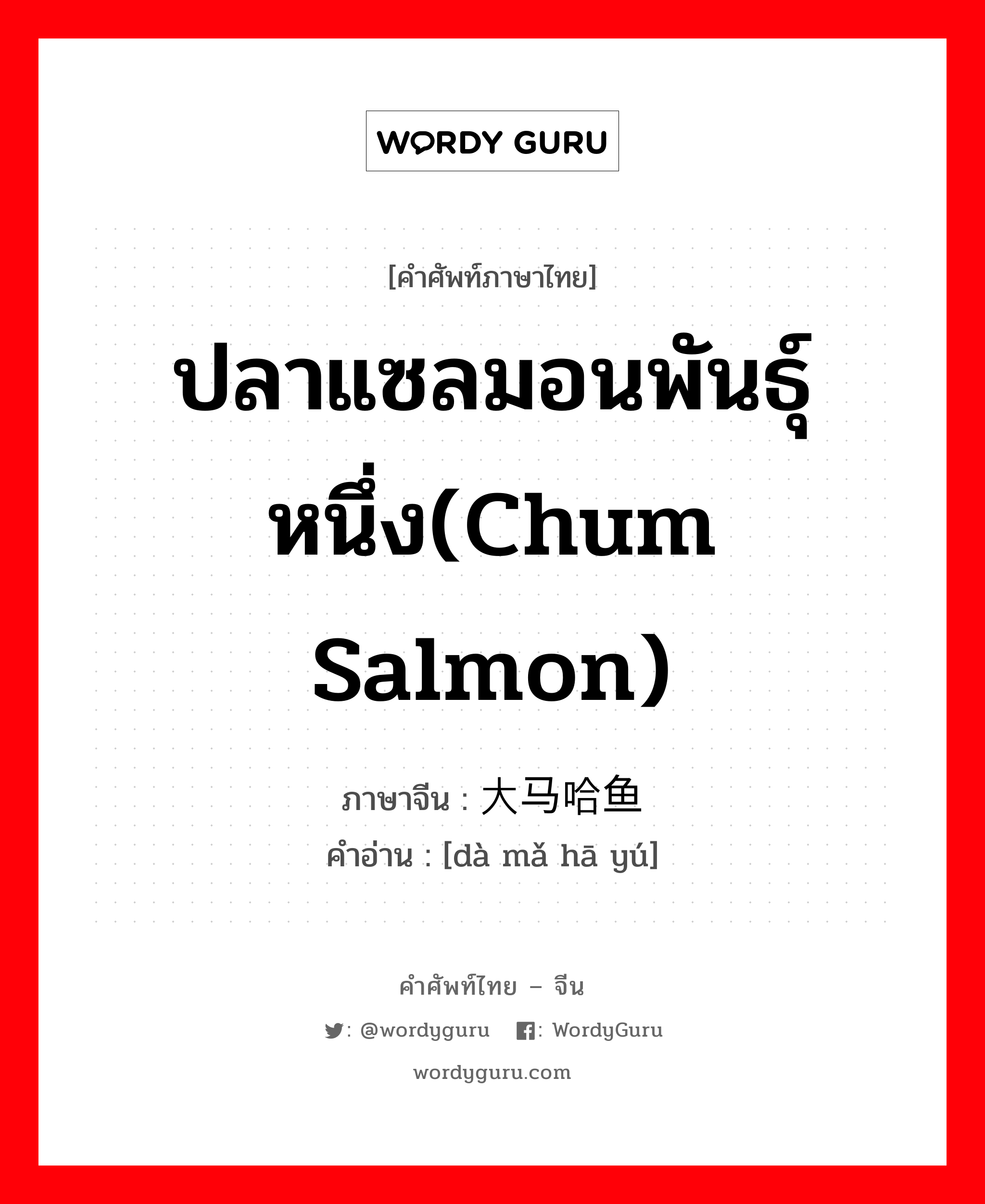 大马哈鱼 ภาษาไทย?, คำศัพท์ภาษาไทย - จีน 大马哈鱼 ภาษาจีน ปลาแซลมอนพันธุ์หนึ่ง(chum salmon) คำอ่าน [dà mǎ hā yú]
