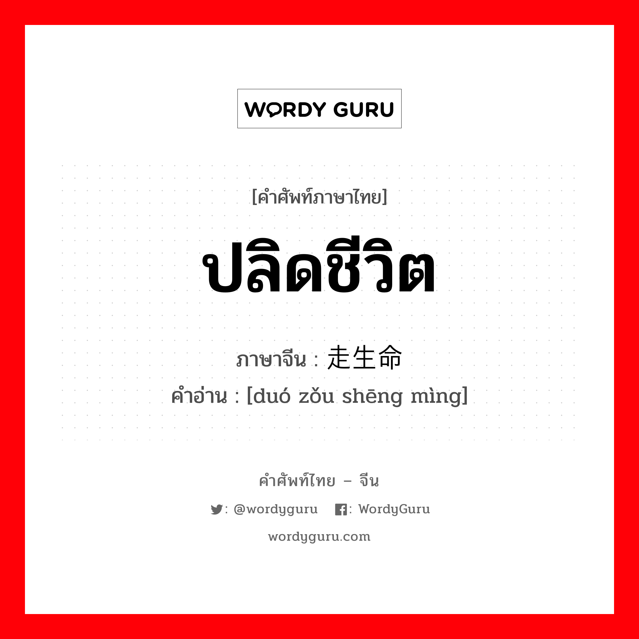 ปลิดชีวิต ภาษาจีนคืออะไร, คำศัพท์ภาษาไทย - จีน ปลิดชีวิต ภาษาจีน 夺走生命 คำอ่าน [duó zǒu shēng mìng]