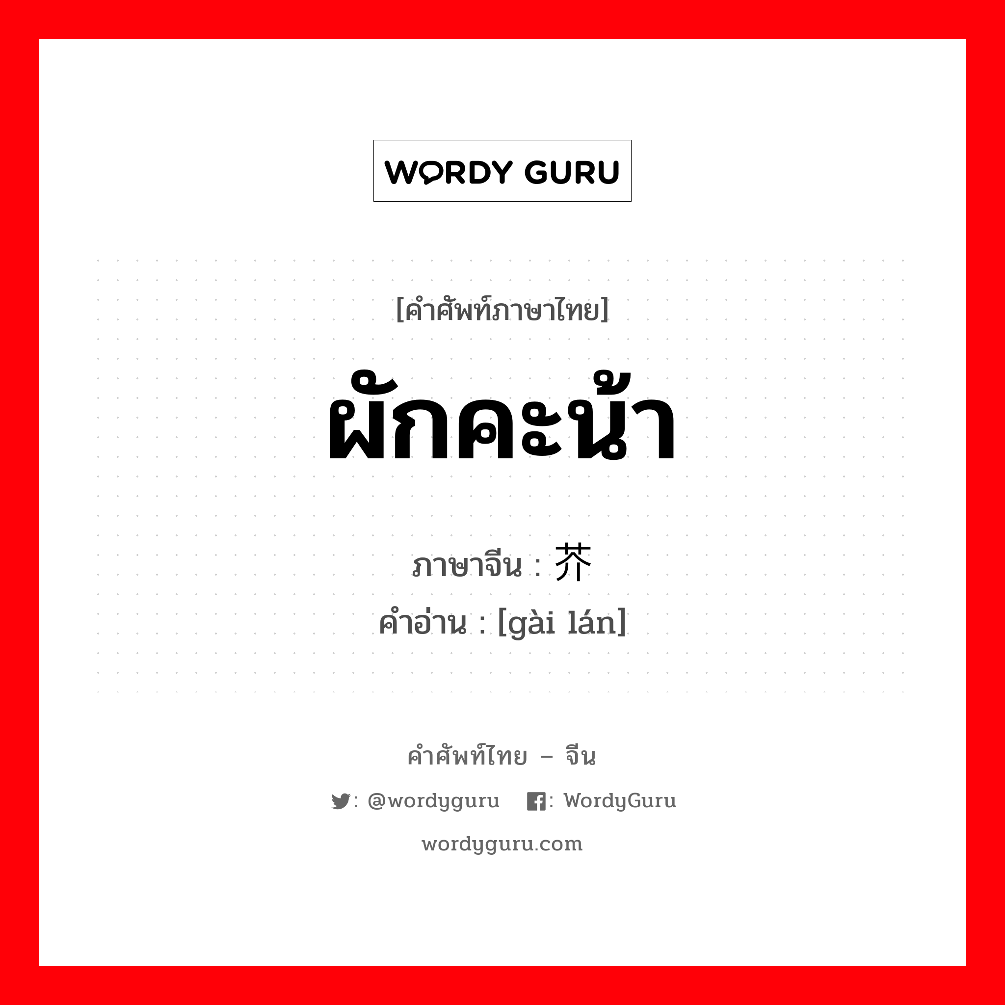 ผักคะน้า ภาษาจีนคืออะไร, คำศัพท์ภาษาไทย - จีน ผักคะน้า ภาษาจีน 芥蓝 คำอ่าน [gài lán]