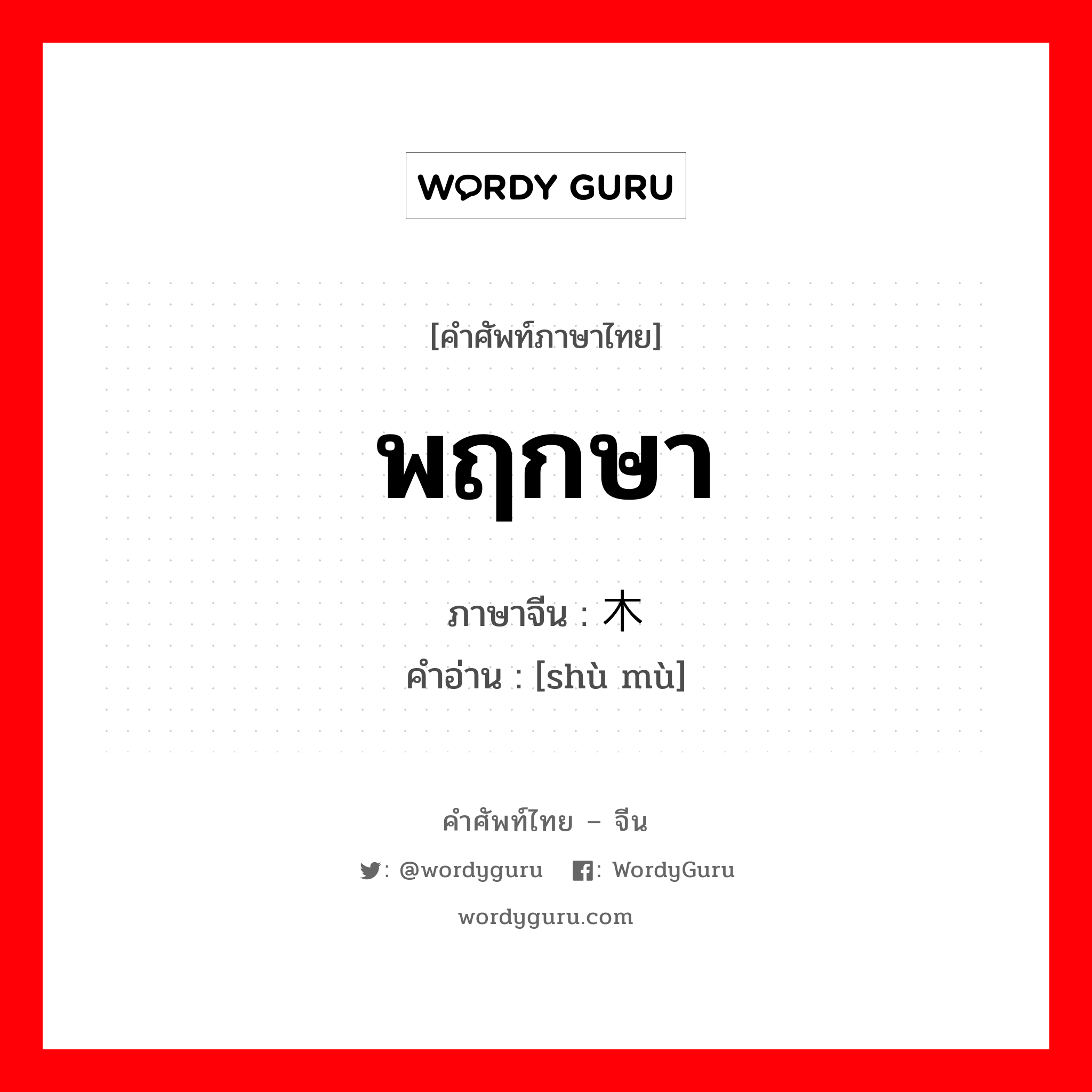 พฤกษา ภาษาจีนคืออะไร, คำศัพท์ภาษาไทย - จีน พฤกษา ภาษาจีน 树木 คำอ่าน [shù mù]