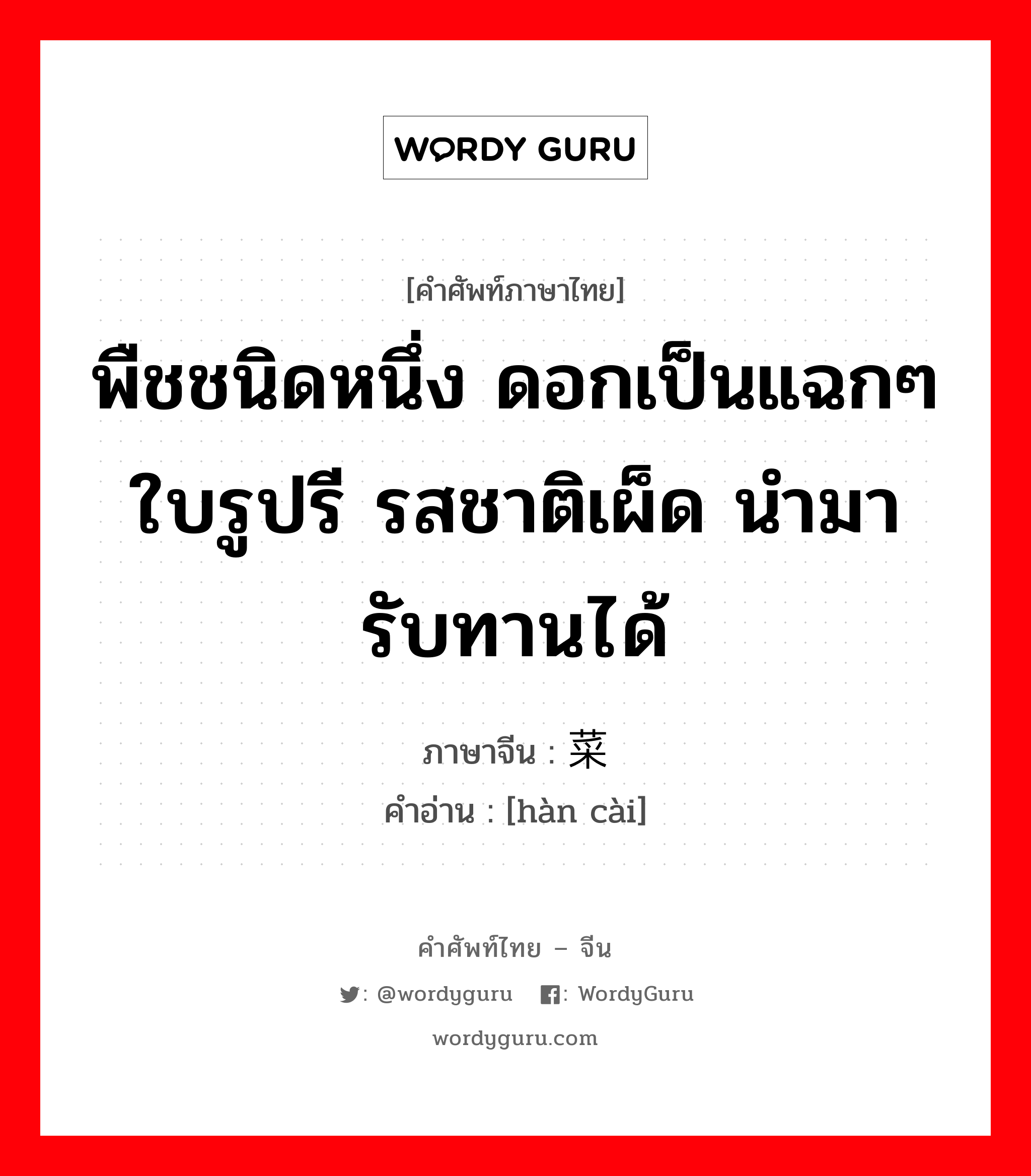 พืชชนิดหนึ่ง ดอกเป็นแฉกๆใบรูปรี รสชาติเผ็ด นำมารับทานได้ ภาษาจีนคืออะไร, คำศัพท์ภาษาไทย - จีน พืชชนิดหนึ่ง ดอกเป็นแฉกๆใบรูปรี รสชาติเผ็ด นำมารับทานได้ ภาษาจีน 蔊菜 คำอ่าน [hàn cài]