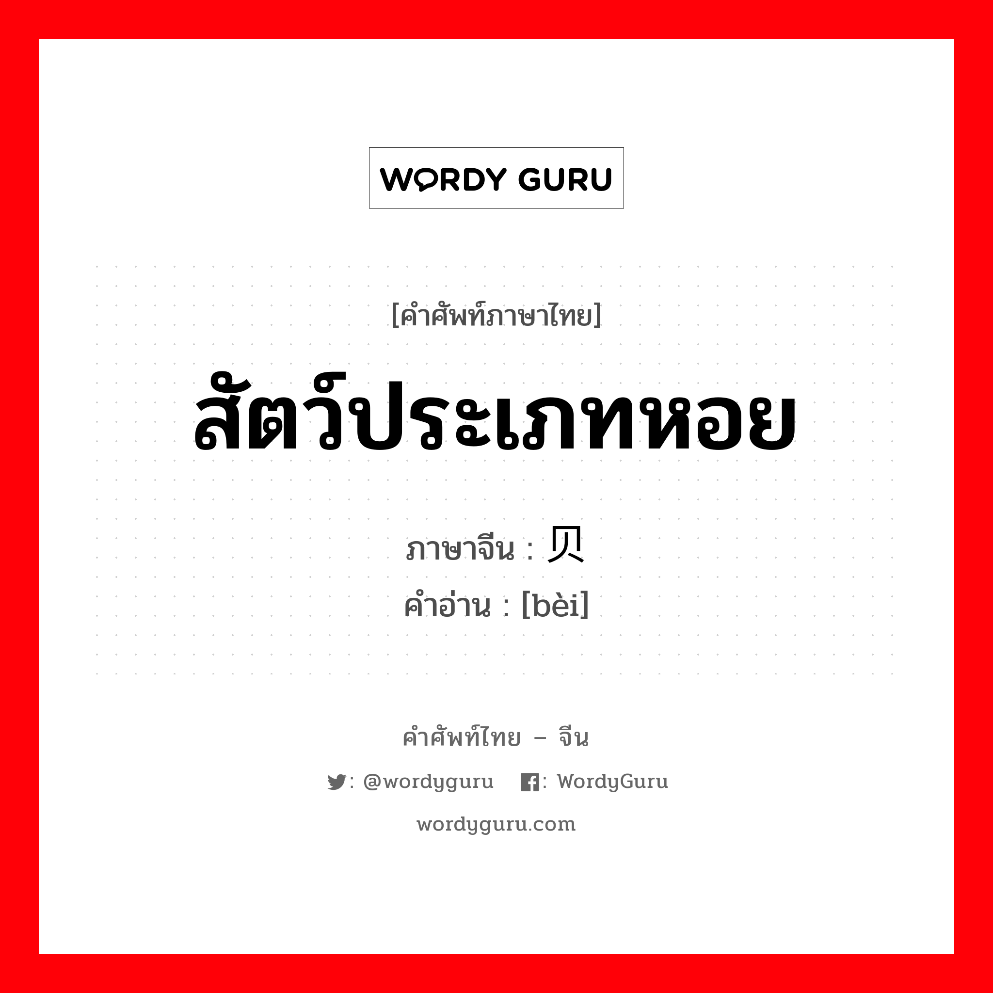 贝 ภาษาไทย?, คำศัพท์ภาษาไทย - จีน 贝 ภาษาจีน สัตว์ประเภทหอย คำอ่าน [bèi]