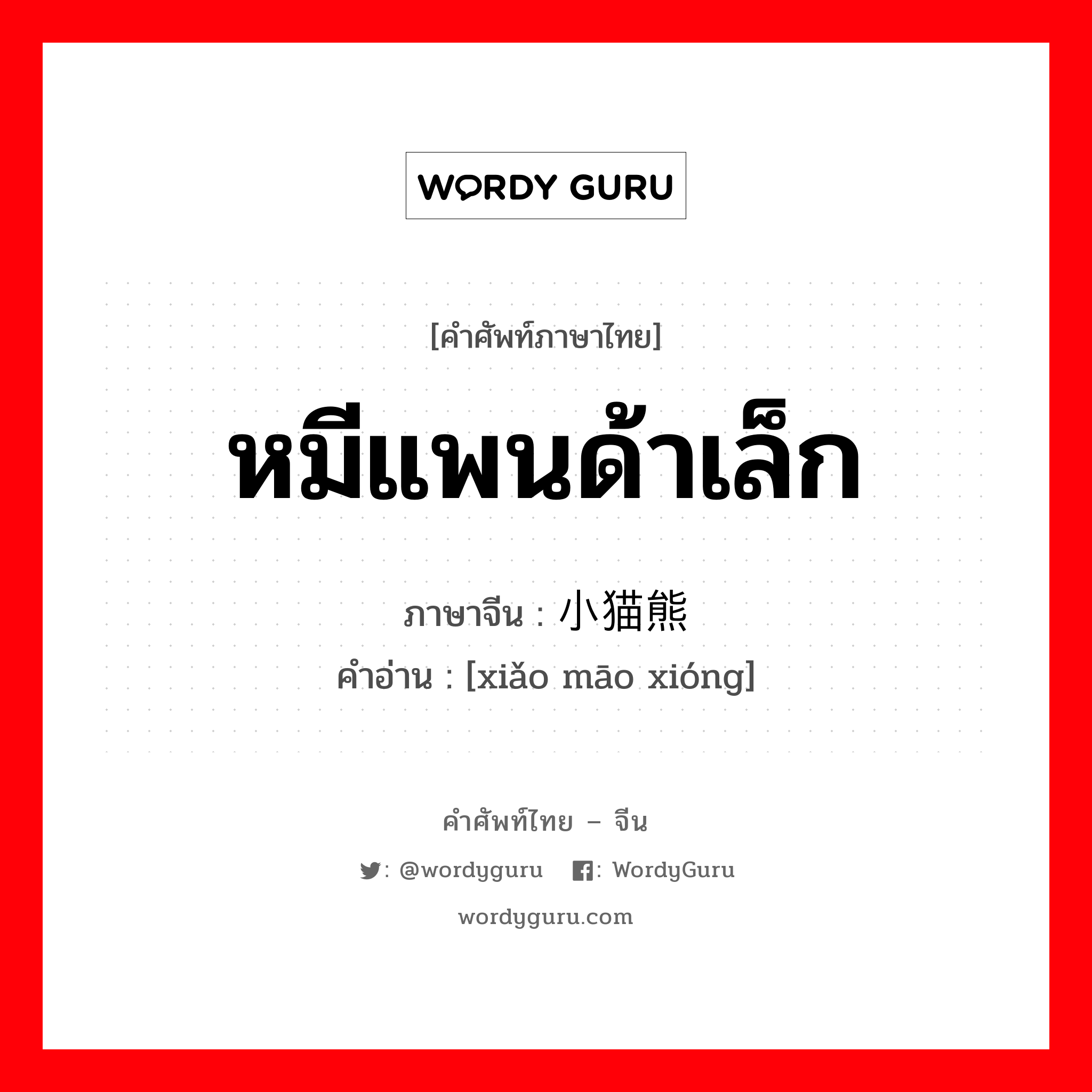 หมีแพนด้าเล็ก ภาษาจีนคืออะไร, คำศัพท์ภาษาไทย - จีน หมีแพนด้าเล็ก ภาษาจีน 小猫熊 คำอ่าน [xiǎo māo xióng]