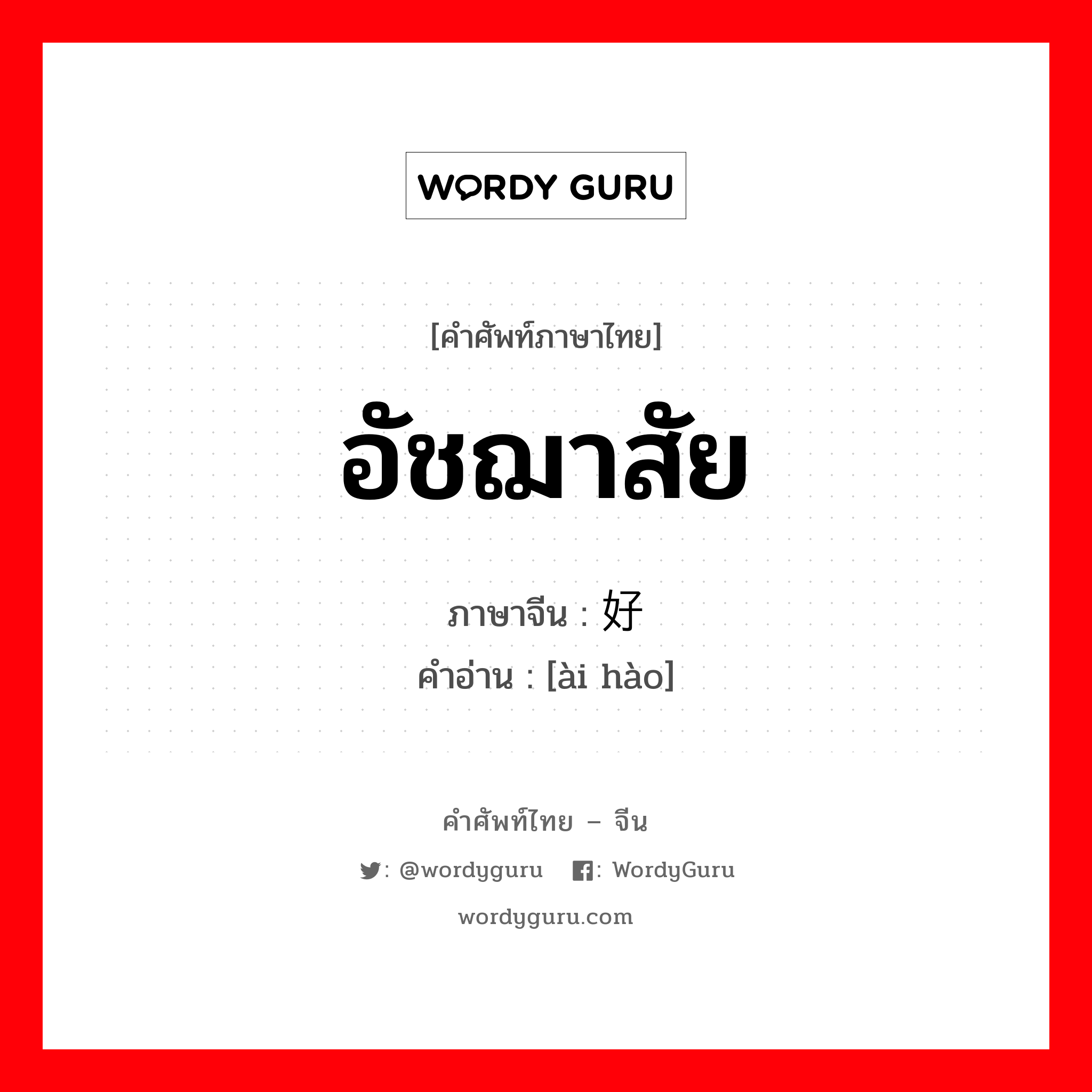 爱好 ภาษาไทย?, คำศัพท์ภาษาไทย - จีน 爱好 ภาษาจีน อัชฌาสัย คำอ่าน [ài hào]
