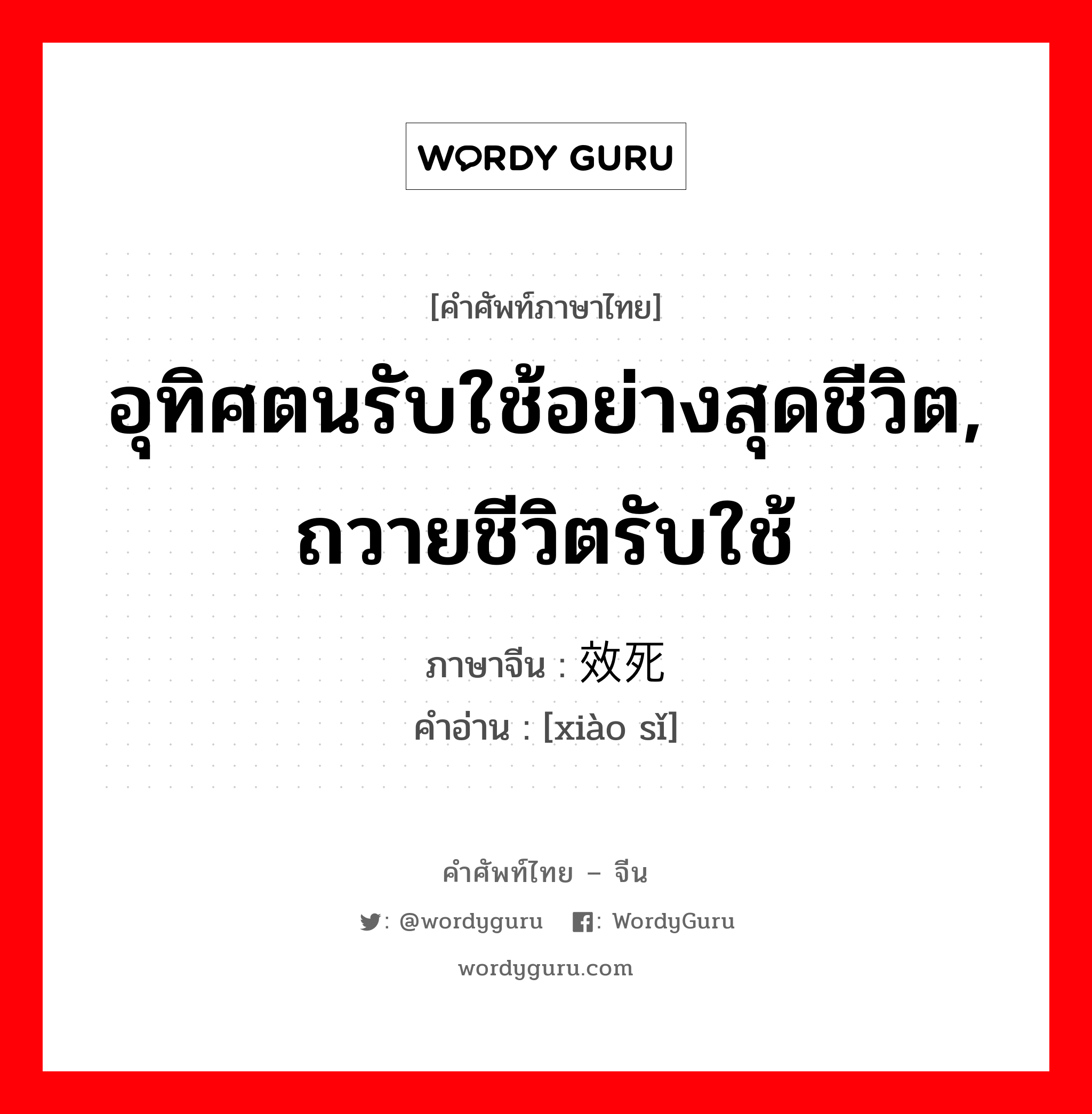 อุทิศตนรับใช้อย่างสุดชีวิต,ถวายชีวิตรับใช้ ภาษาจีนคืออะไร, คำศัพท์ภาษาไทย - จีน อุทิศตนรับใช้อย่างสุดชีวิต, ถวายชีวิตรับใช้ ภาษาจีน 效死 คำอ่าน [xiào sǐ]