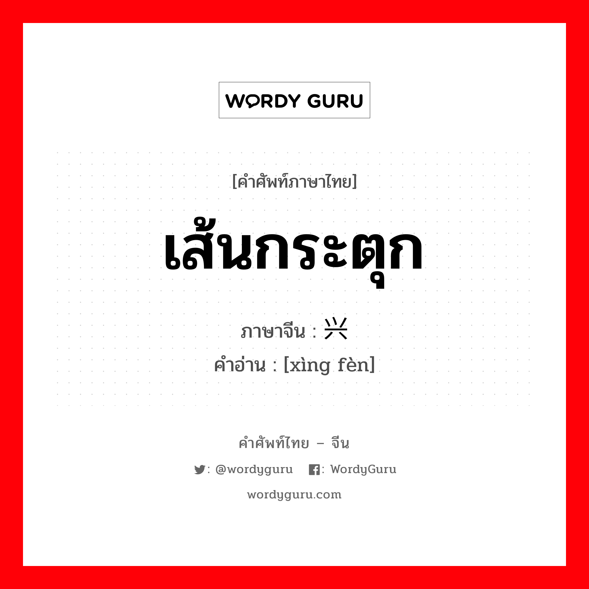 เส้นกระตุก ภาษาจีนคืออะไร, คำศัพท์ภาษาไทย - จีน เส้นกระตุก ภาษาจีน 兴奋 คำอ่าน [xìng fèn]
