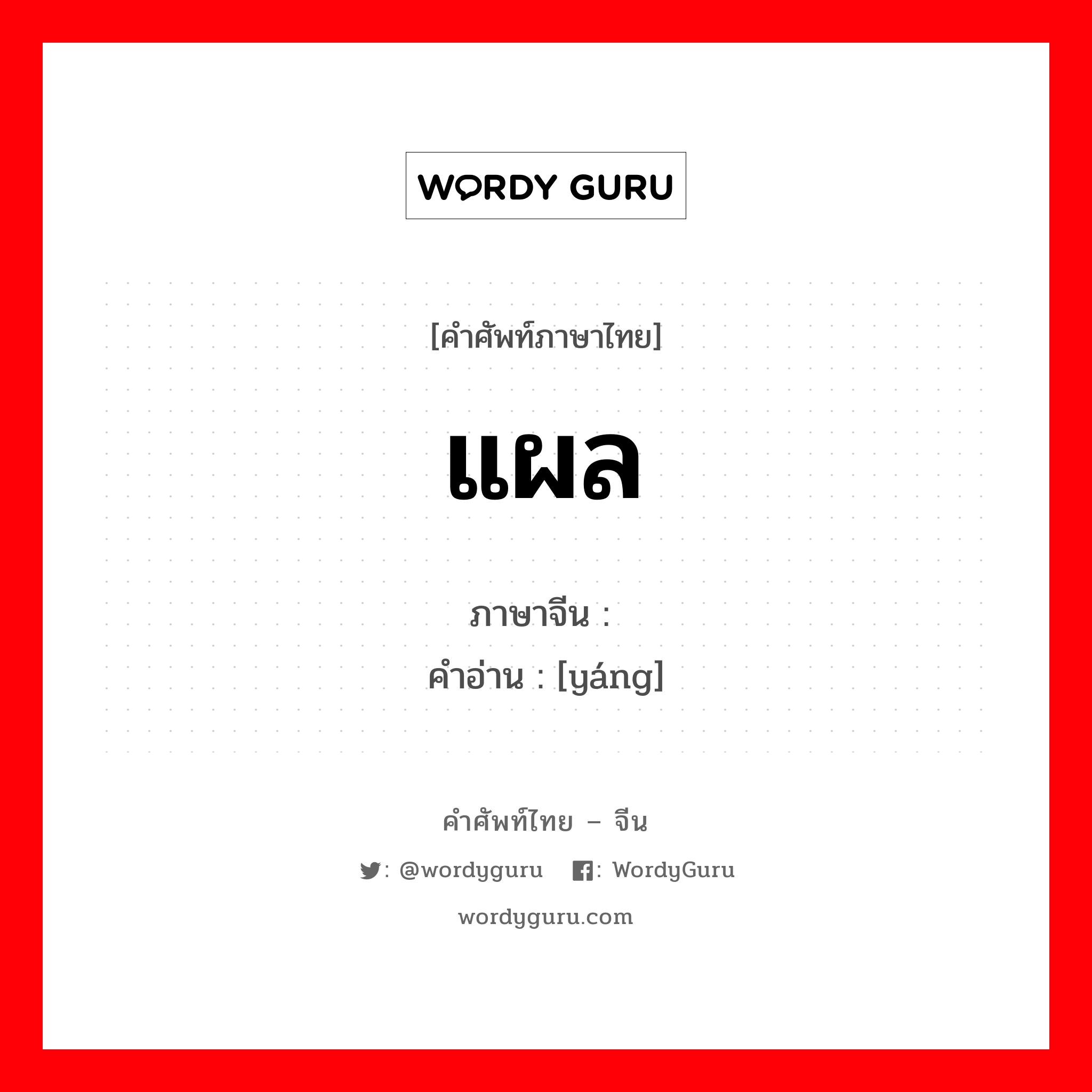 แผล ภาษาจีนคืออะไร, คำศัพท์ภาษาไทย - จีน แผล ภาษาจีน 疡 คำอ่าน [yáng]