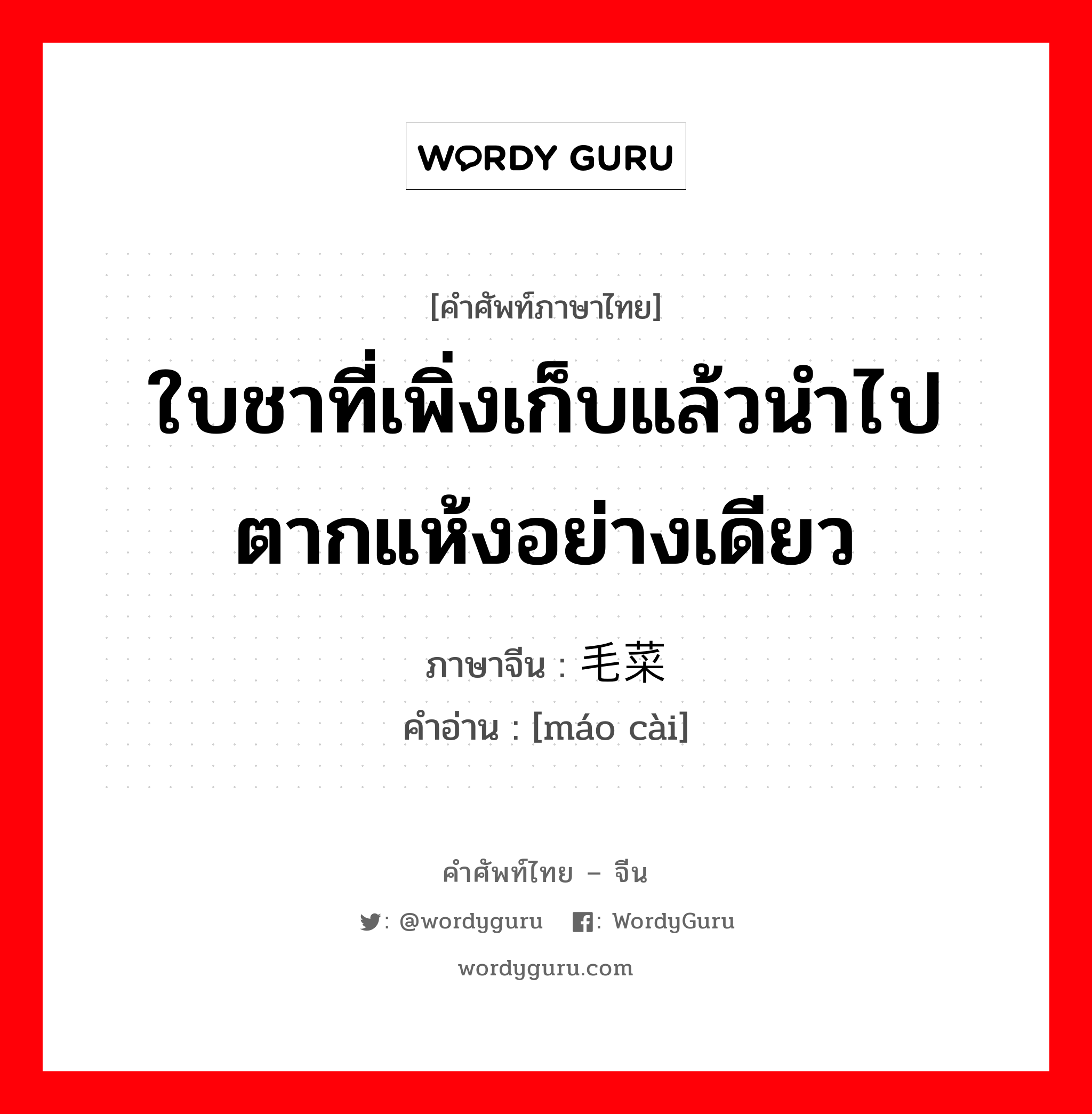 ใบชาที่เพิ่งเก็บแล้วนำไปตากแห้งอย่างเดียว ภาษาจีนคืออะไร, คำศัพท์ภาษาไทย - จีน ใบชาที่เพิ่งเก็บแล้วนำไปตากแห้งอย่างเดียว ภาษาจีน 毛菜 คำอ่าน [máo cài]