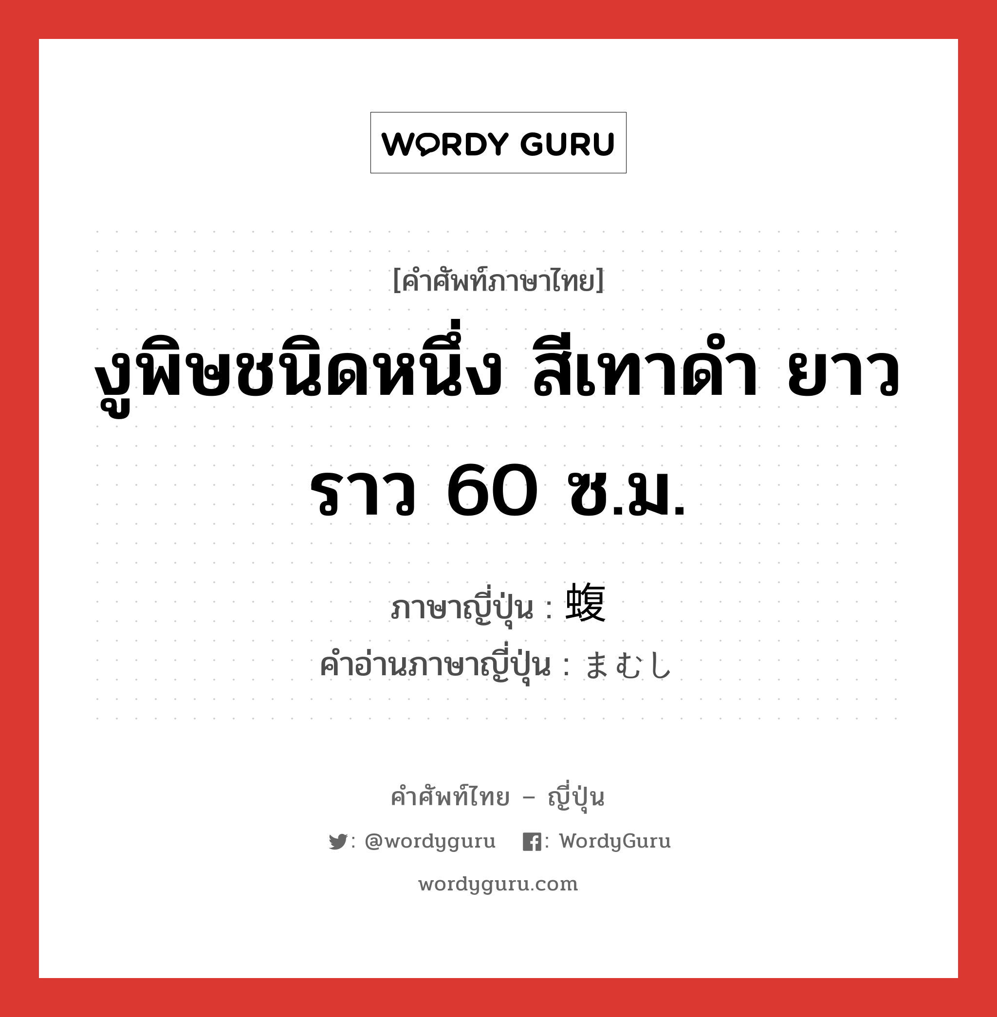 งูพิษชนิดหนึ่ง สีเทาดำ ยาวราว 60 ซ.ม. ภาษาญี่ปุ่นคืออะไร, คำศัพท์ภาษาไทย - ญี่ปุ่น งูพิษชนิดหนึ่ง สีเทาดำ ยาวราว 60 ซ.ม. ภาษาญี่ปุ่น 蝮 คำอ่านภาษาญี่ปุ่น まむし หมวด n หมวด n