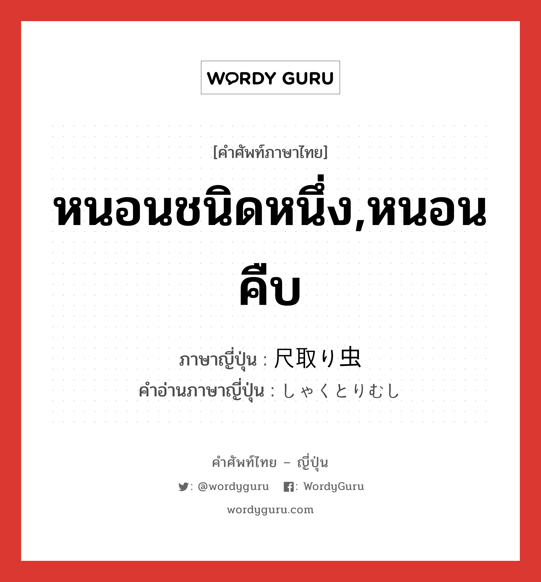 หนอนชนิดหนึ่ง,หนอนคืบ ภาษาญี่ปุ่นคืออะไร, คำศัพท์ภาษาไทย - ญี่ปุ่น หนอนชนิดหนึ่ง,หนอนคืบ ภาษาญี่ปุ่น 尺取り虫 คำอ่านภาษาญี่ปุ่น しゃくとりむし หมวด n หมวด n