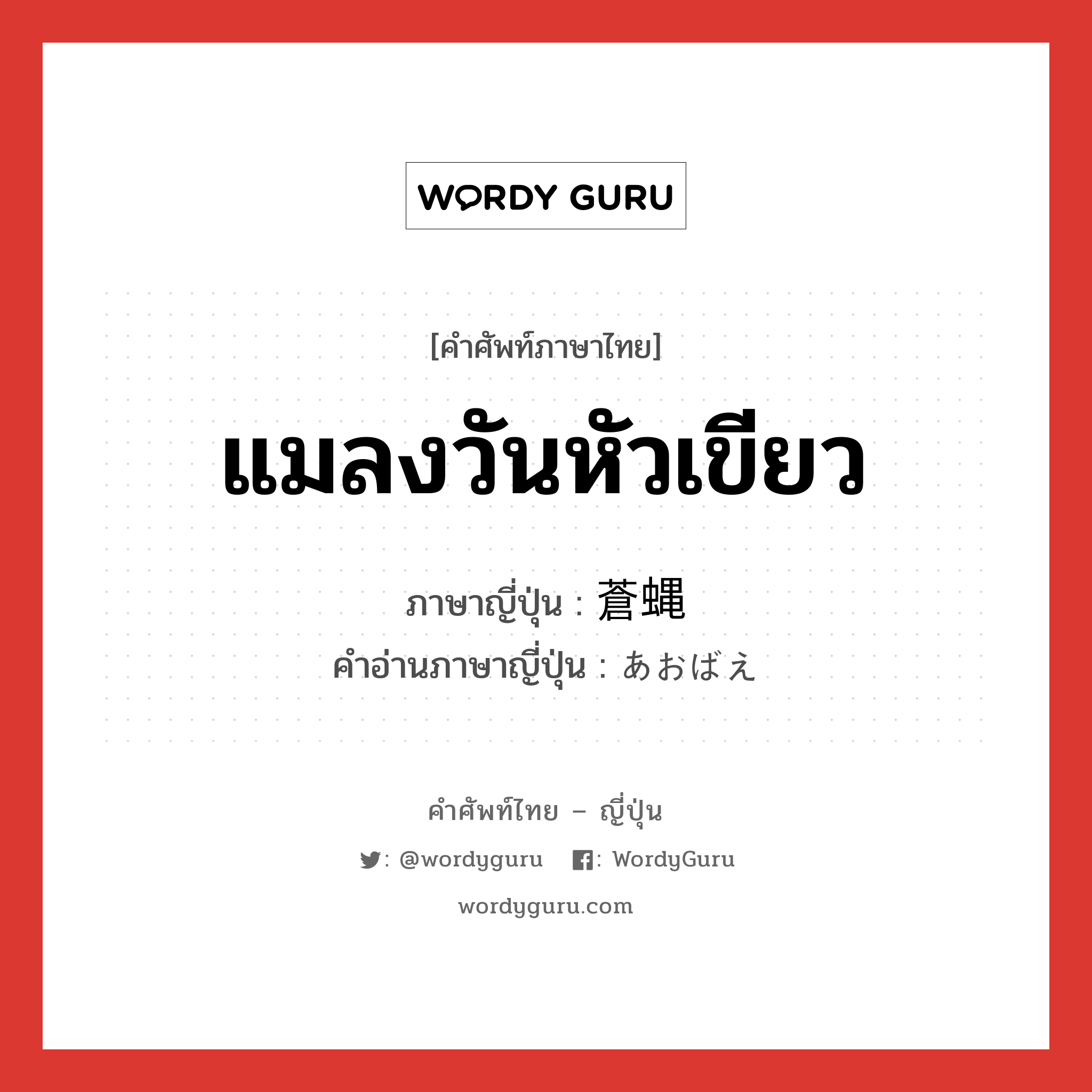 แมลงวันหัวเขียว ภาษาญี่ปุ่นคืออะไร, คำศัพท์ภาษาไทย - ญี่ปุ่น แมลงวันหัวเขียว ภาษาญี่ปุ่น 蒼蝿 คำอ่านภาษาญี่ปุ่น あおばえ หมวด n หมวด n