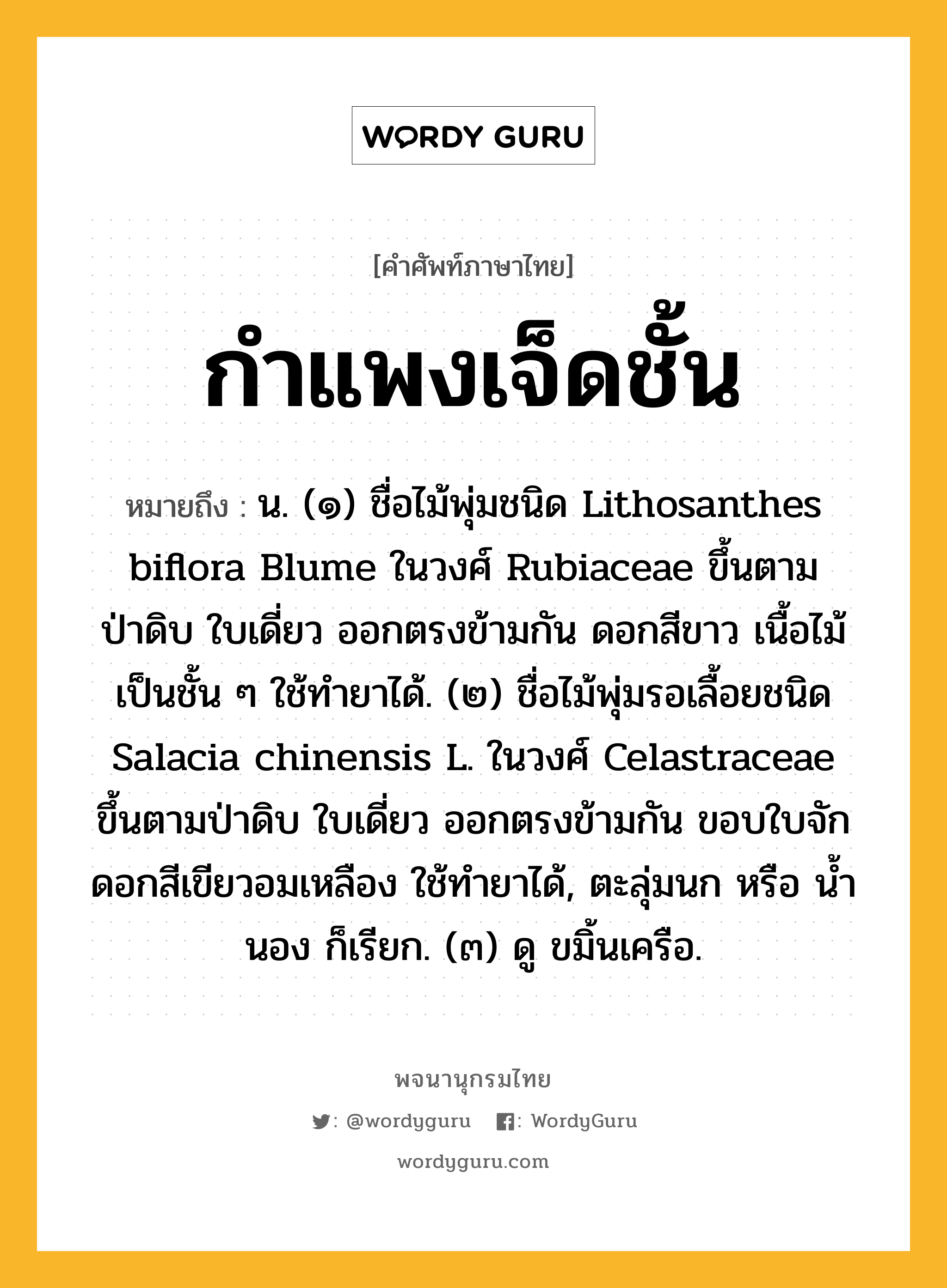 กำแพงเจ็ดชั้น หมายถึงอะไร?, คำศัพท์ภาษาไทย กำแพงเจ็ดชั้น หมายถึง น. (๑) ชื่อไม้พุ่มชนิด Lithosanthes biflora Blume ในวงศ์ Rubiaceae ขึ้นตามป่าดิบ ใบเดี่ยว ออกตรงข้ามกัน ดอกสีขาว เนื้อไม้เป็นชั้น ๆ ใช้ทํายาได้. (๒) ชื่อไม้พุ่มรอเลื้อยชนิด Salacia chinensis L. ในวงศ์ Celastraceae ขึ้นตามป่าดิบ ใบเดี่ยว ออกตรงข้ามกัน ขอบใบจัก ดอกสีเขียวอมเหลือง ใช้ทํายาได้, ตะลุ่มนก หรือ นํ้านอง ก็เรียก. (๓) ดู ขมิ้นเครือ.