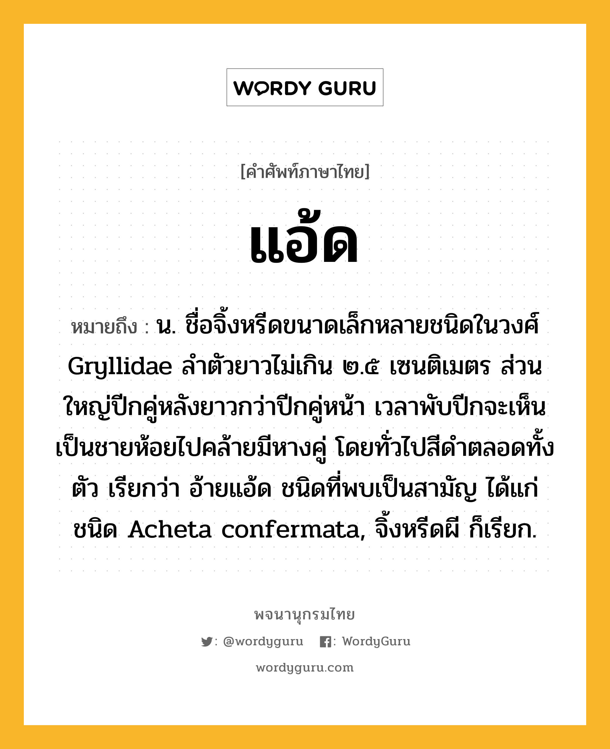 แอ้ด หมายถึงอะไร?, คำศัพท์ภาษาไทย แอ้ด หมายถึง น. ชื่อจิ้งหรีดขนาดเล็กหลายชนิดในวงศ์ Gryllidae ลำตัวยาวไม่เกิน ๒.๕ เซนติเมตร ส่วนใหญ่ปีกคู่หลังยาวกว่าปีกคู่หน้า เวลาพับปีกจะเห็นเป็นชายห้อยไปคล้ายมีหางคู่ โดยทั่วไปสีดำตลอดทั้งตัว เรียกว่า อ้ายแอ้ด ชนิดที่พบเป็นสามัญ ได้แก่ ชนิด Acheta confermata, จิ้งหรีดผี ก็เรียก.