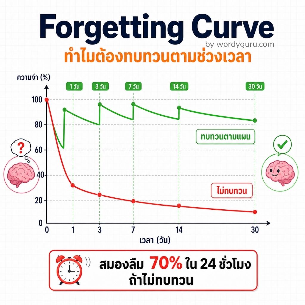 กราฟแสดง Forgetting Curve ของ Ebbinghaus — สมองลืม 70% ใน 24 ชั่วโมง ถ้าไม่ทบทวน
