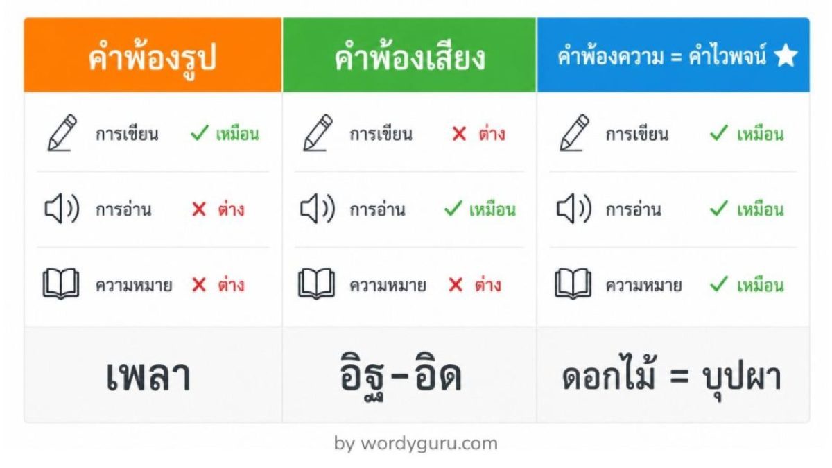 อินโฟกราฟิกเปรียบเทียบคำพ้อง 3 ประเภท: คำพ้องรูป คำพ้องเสียง คำพ้องความหมาย