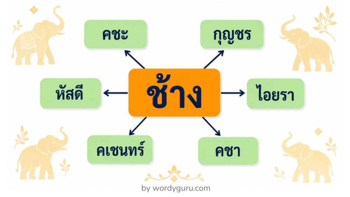 แผนผังคำไวพจน์ของช้าง แสดงคำพ้องความหมาย 6 คำ คือ คชะ กุญชร หัสดี ไอยรา คเชนทร์ และ คชา