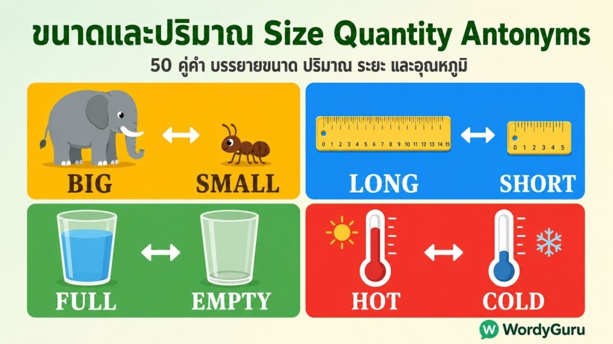 ตารางรวมคำคุณศัพท์ตรงข้ามภาษาอังกฤษหมวดขนาดและปริมาณ 50 คู่ พร้อมความหมายไทย จัดหมวดความยาว น้ำหนัก ปริมาณ อุณหภูมิ และระยะทาง
