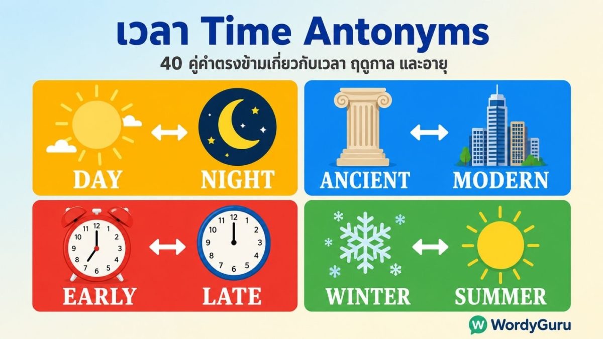 ตารางรวมคำตรงข้ามภาษาอังกฤษหมวดเวลา 40 คู่ พร้อมความหมายไทย จัดหมวดช่วงเวลาในวัน ฤดูกาล ลำดับเวลา ความถี่ และอายุ
