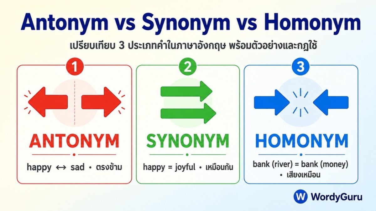 ภาพรวมเปรียบเทียบ Antonym Synonym และ Homonym ในภาษาอังกฤษ พร้อมตัวอย่างคำ ความหมาย และกฎการใช้ในการเขียนและข้อสอบ