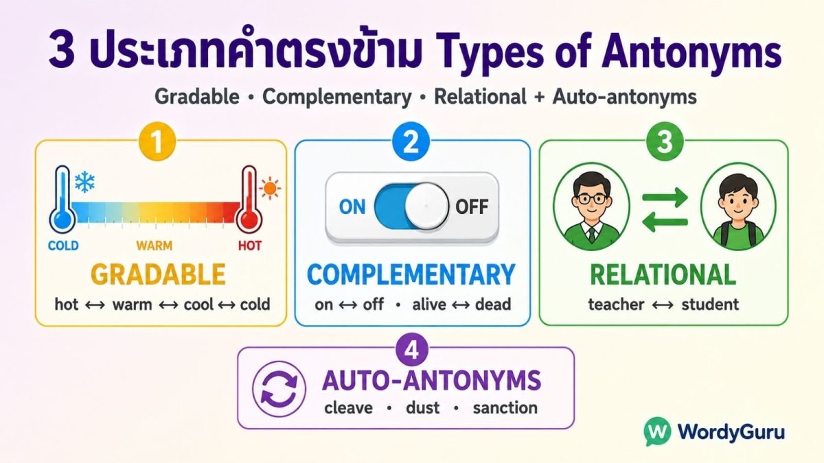 ภาพรวมประเภทคำตรงข้ามภาษาอังกฤษ 3 ประเภทหลัก Gradable Complementary Relational พร้อม Auto-antonyms เปรียบเทียบเชิงโครงสร้างและความหมาย