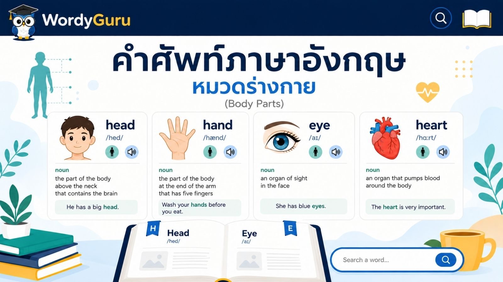 คำศัพท์ภาษาอังกฤษ หมวดร่างกาย พร้อมคำอ่านและคำแปลไทย
