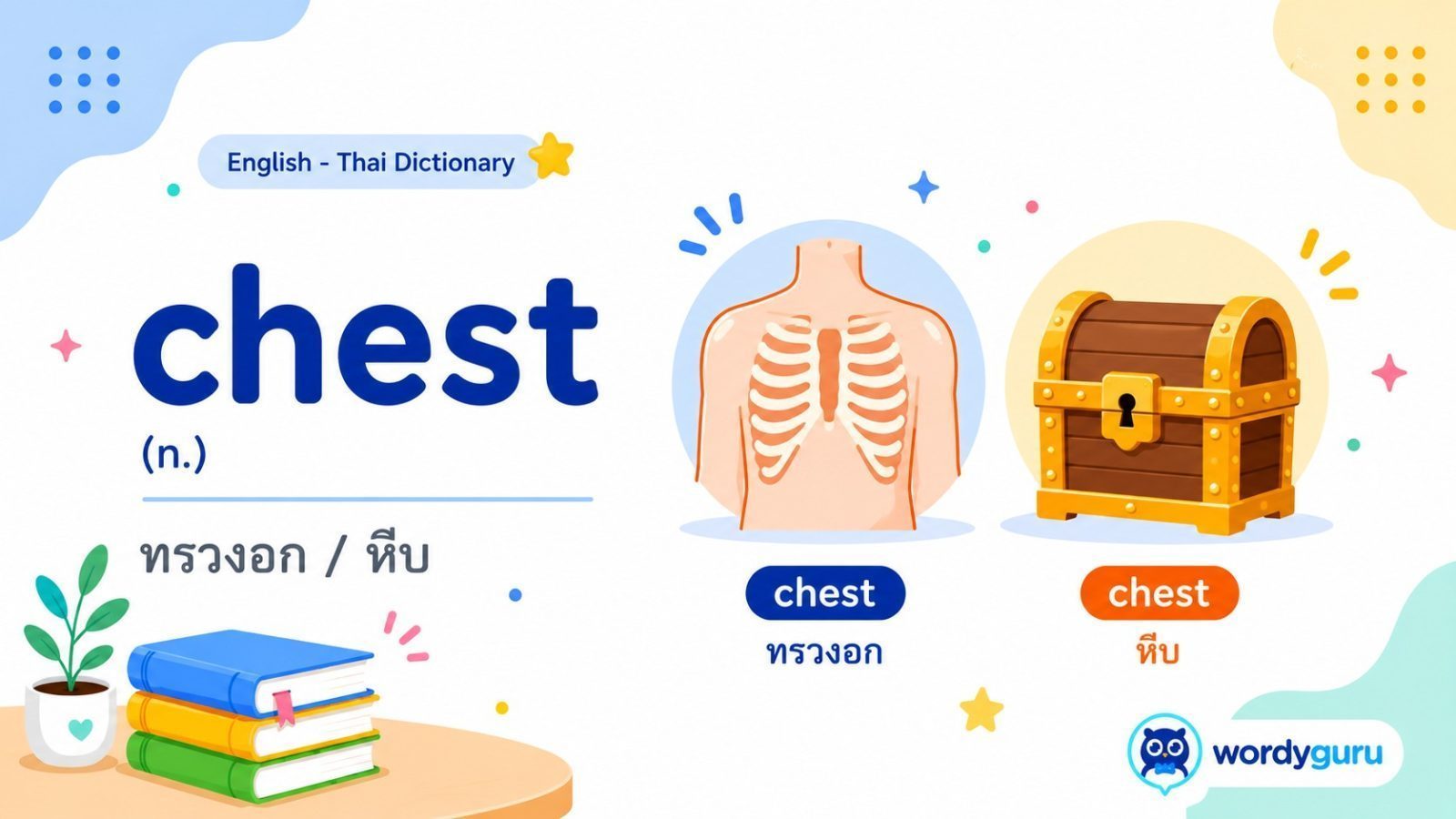 chest แปลว่าอะไร พร้อมคำอ่าน ความหมาย และตัวอย่างประโยค