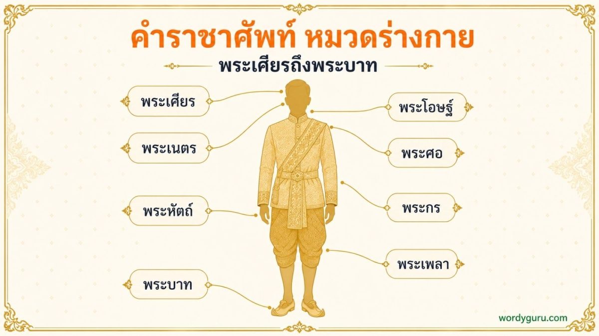 แผนภาพคำราชาศัพท์หมวดร่างกาย แสดงตำแหน่งอวัยวะตั้งแต่พระเศียร พระเนตร พระโอษฐ์ พระศอ พระหัตถ์ พระกร พระเพลา ถึงพระบาท พร้อมคำเรียก