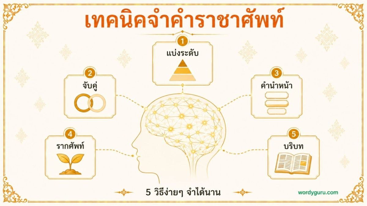 แผนภาพเทคนิคจำคำราชาศัพท์ แสดงสมองเชื่อมโยงกับ 5 เทคนิค แบ่งระดับ จับคู่ คำนำหน้า รากศัพท์ และบริบทข่าวสาร
