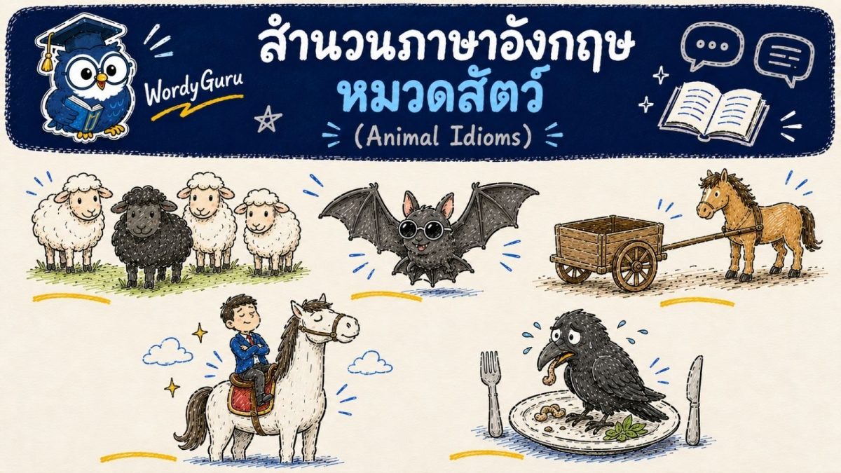 อินโฟกราฟิกสำนวนภาษาอังกฤษเกี่ยวกับสัตว์ รวมสำนวนเช่น black sheep และ as blind as a bat พร้อมภาพประกอบและคำแปลไทย