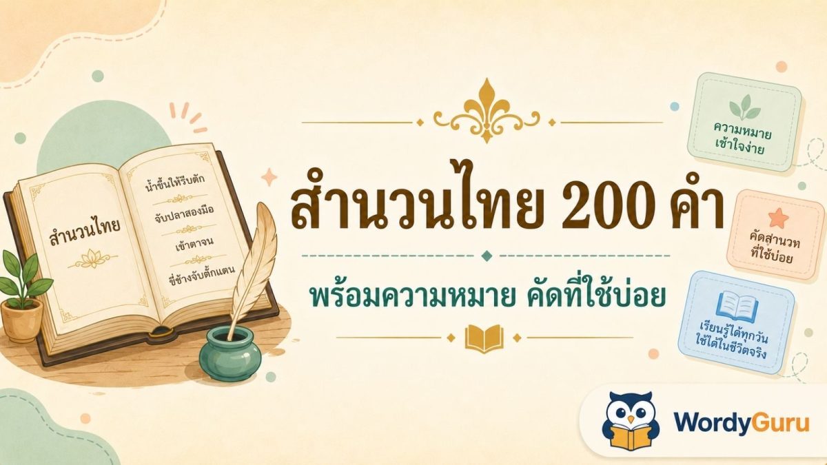 การ์ดรวมสำนวนไทย 200 คำ พร้อมความหมาย คัดที่ใช้บ่อย จัดเป็นชุด 50 100 200 สไตล์ WordyGuru