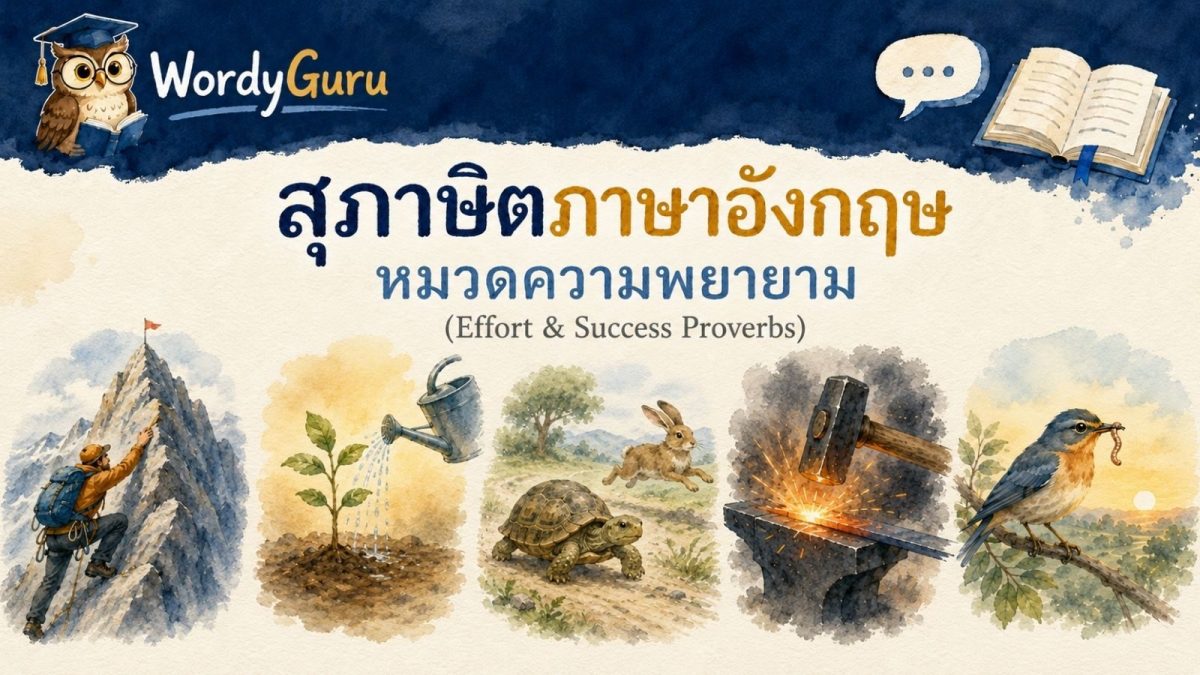 อินโฟกราฟิกสุภาษิตภาษาอังกฤษหมวดความพยายามและความสำเร็จ พร้อมภาพประกอบวาดมือและคำแปลไทย สไตล์ WordyGuru