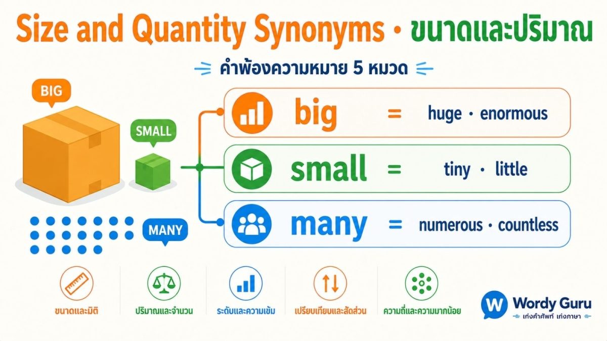 แบนเนอร์คำบอกขนาดและปริมาณภาษาอังกฤษพร้อมคำพ้องความหมาย Size and Quantity Synonyms จัดกลุ่มตามขนาดและจำนวน