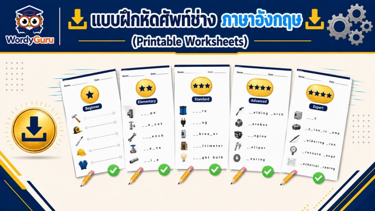 อินโฟกราฟิกแบบฝึกหัดศัพท์ช่างภาษาอังกฤษ 5 ระดับ ใบงานพร้อมดาวน์โหลด ระดับเริ่มต้นถึงเชี่ยวชาญ พร้อมดาวและเครื่องหมายถูก