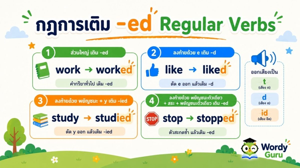 แบนเนอร์กฎการเติม -ed ของคำกริยาปกติภาษาอังกฤษ แสดงตัวอย่าง worked liked studied stopped พร้อมการออกเสียงท้าย -ed สามแบบ t d และ id