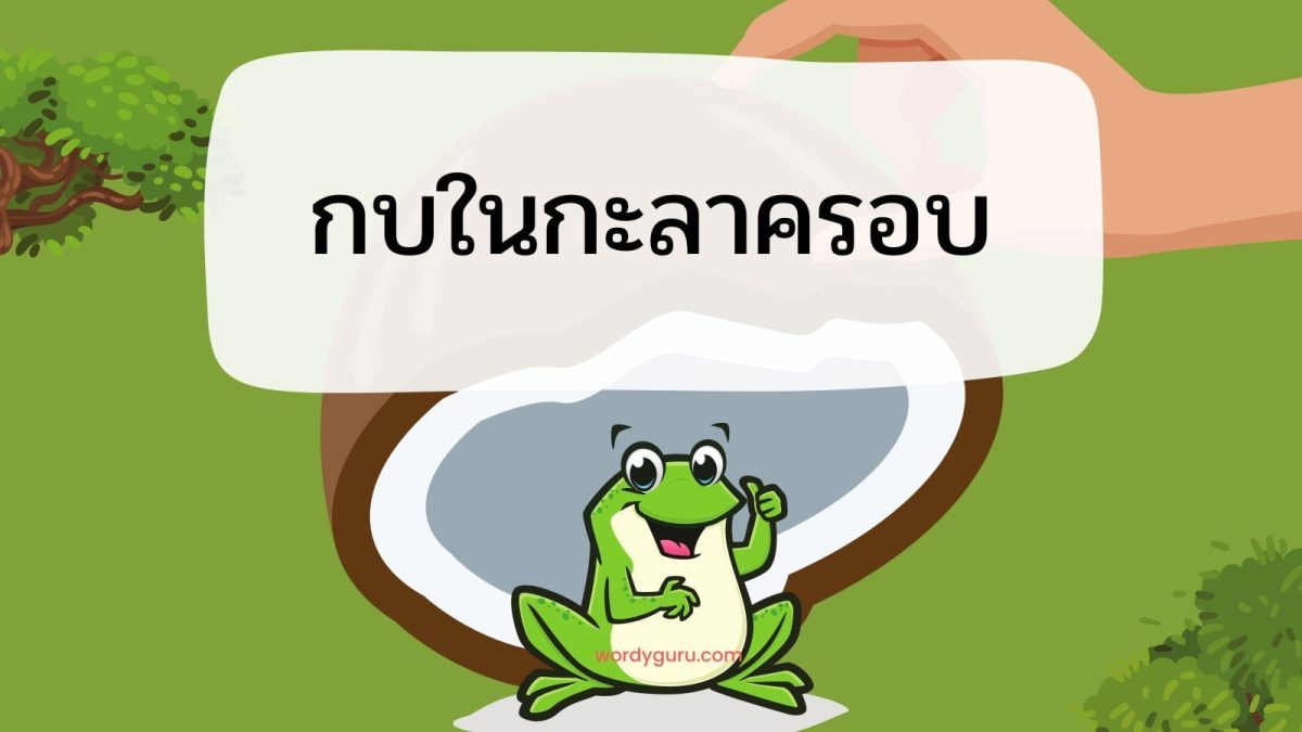 กบในกะลาครอบ หมายถึง ผู้มีความรู้และประสบการณ์น้อย แต่สำคัญตนว่ามีความรู้มาก