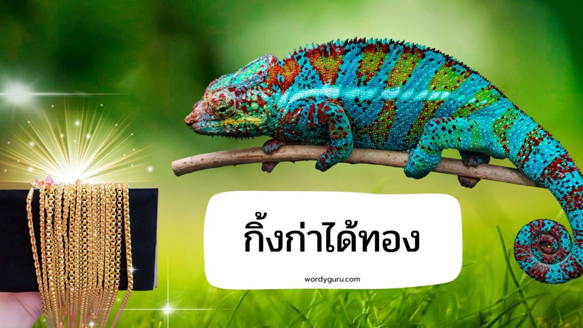 กิ้งก่าได้ทอง หมายถึง คนที่ได้ลาภยศแล้วทะนงตนลืมฐานะเดิม
