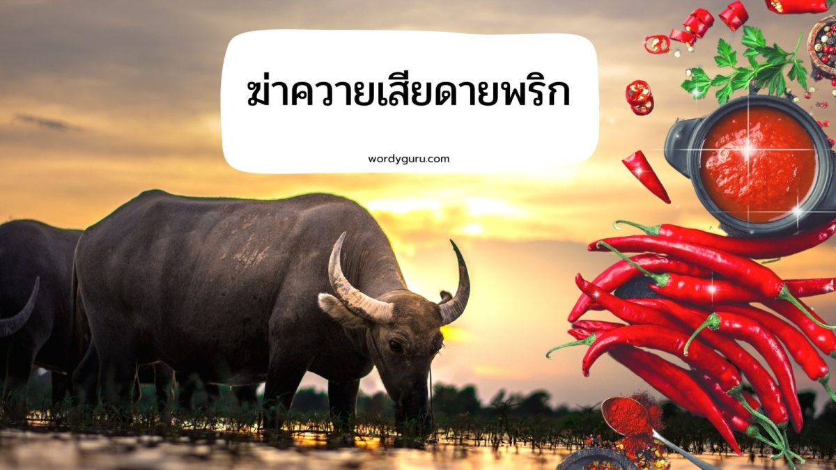 ฆ่าควายเสียดายพริก หมายถึง การคิดจะทำการใหญ่ แต่กลัวว่าจะสิ้นเปลืองค่าใช้จ่าย มัวแต่คิดเล็กคิดน้อยจนทำให้เสียงานเสียได้